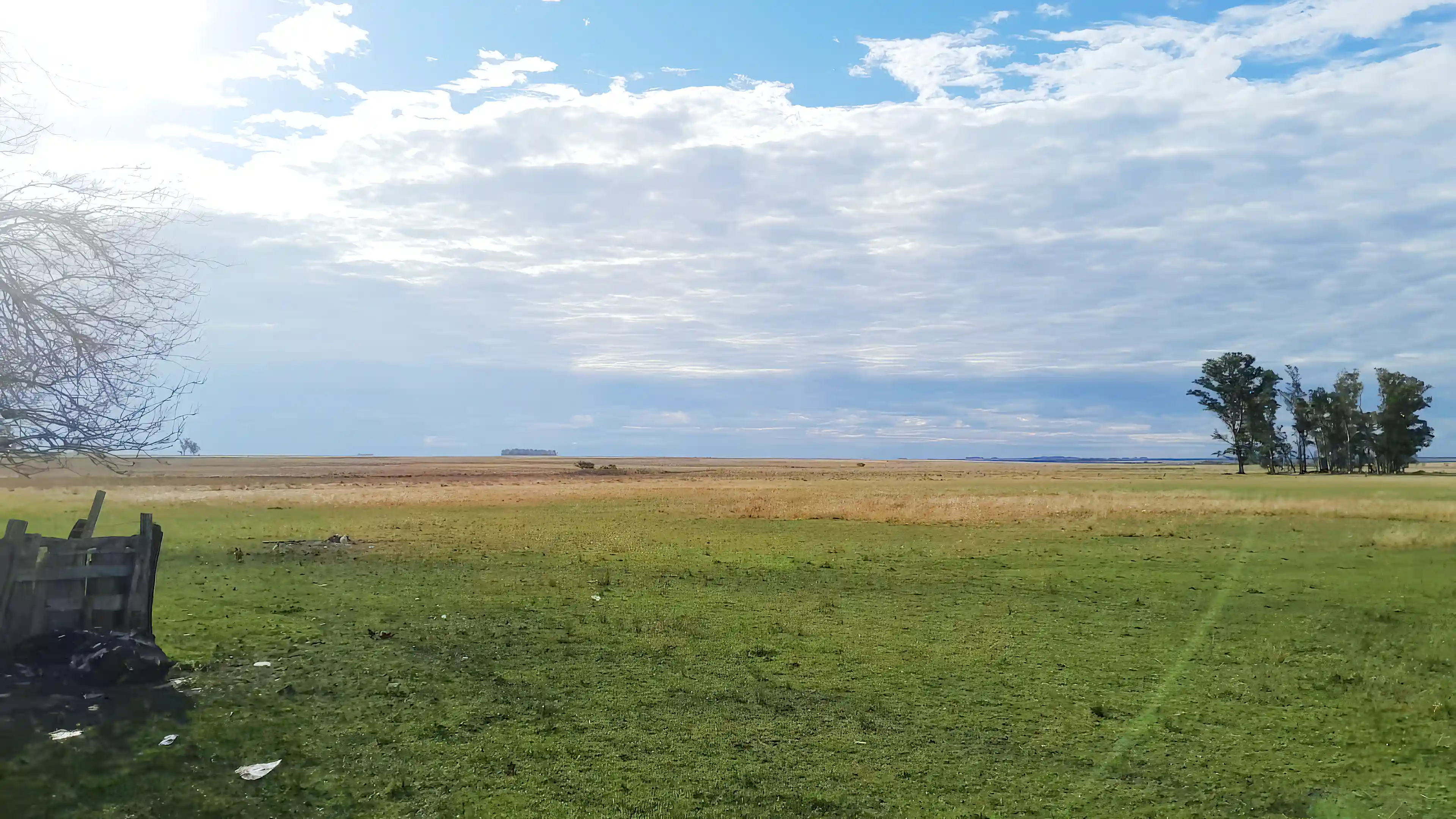 13 Hectares for Sale in Saucedo, Villa Constitucion, Salto, Uruguay