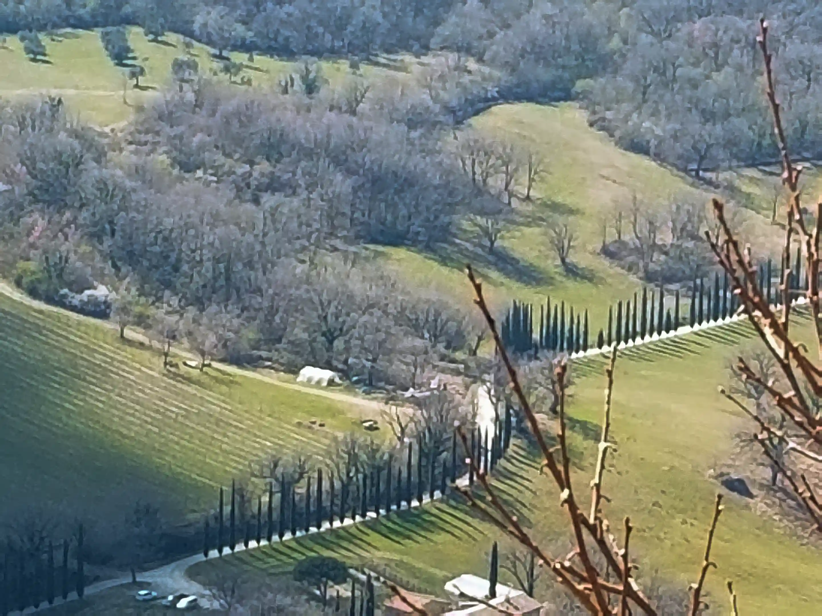 A view into the valley below