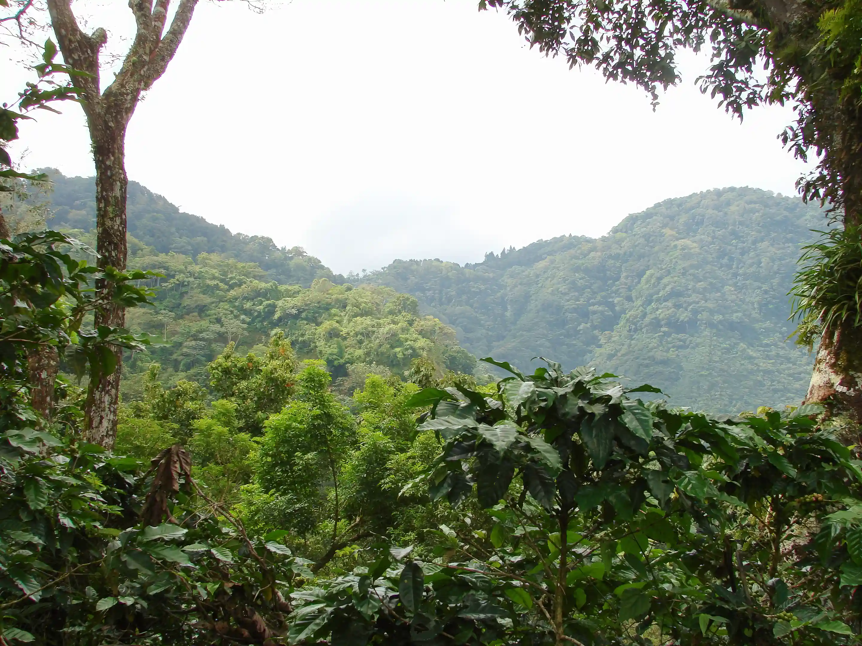 Part of the property