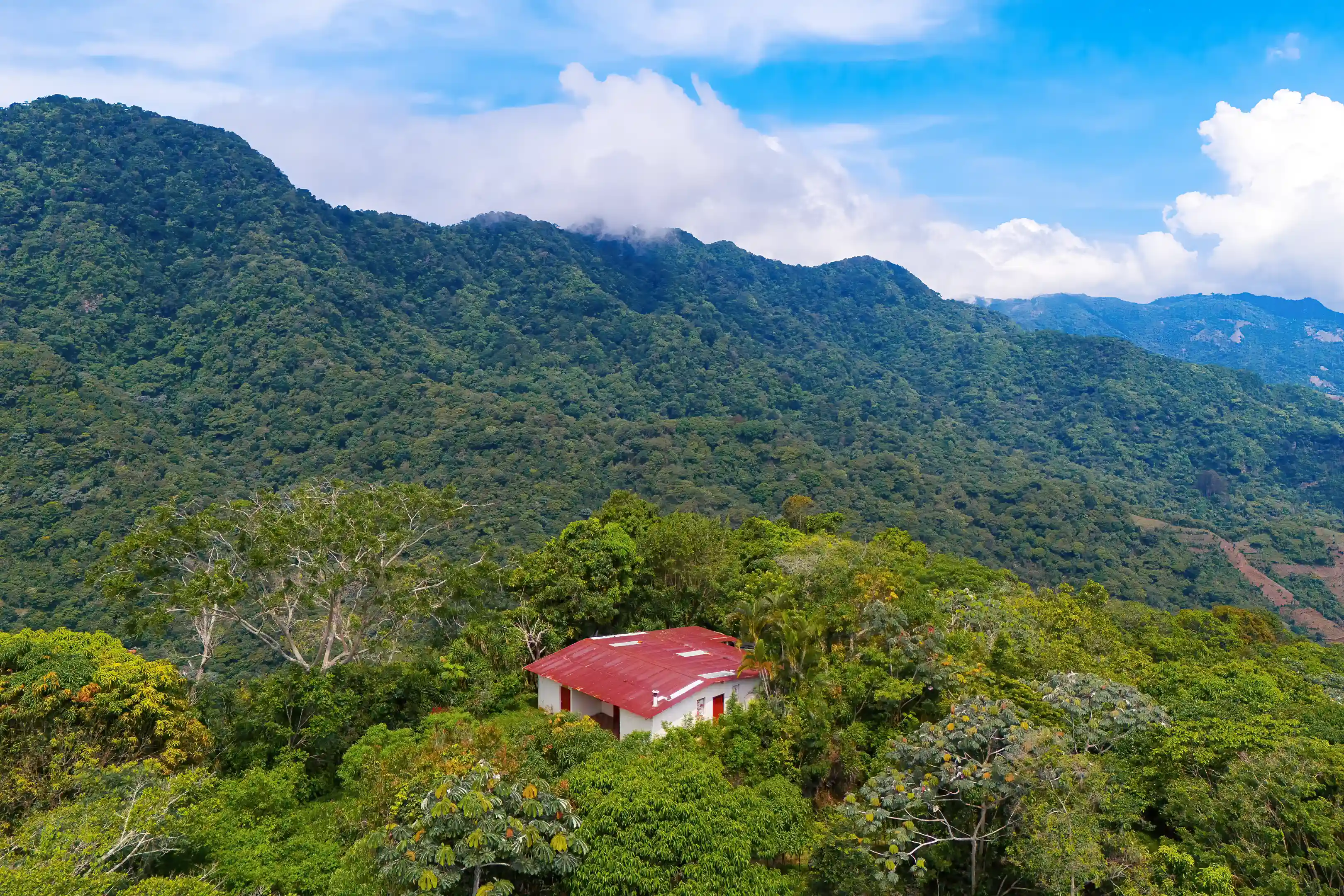 Farm for Sale in El Nispero, Ataco, Tacuba, Ahuachapan, El Salvador