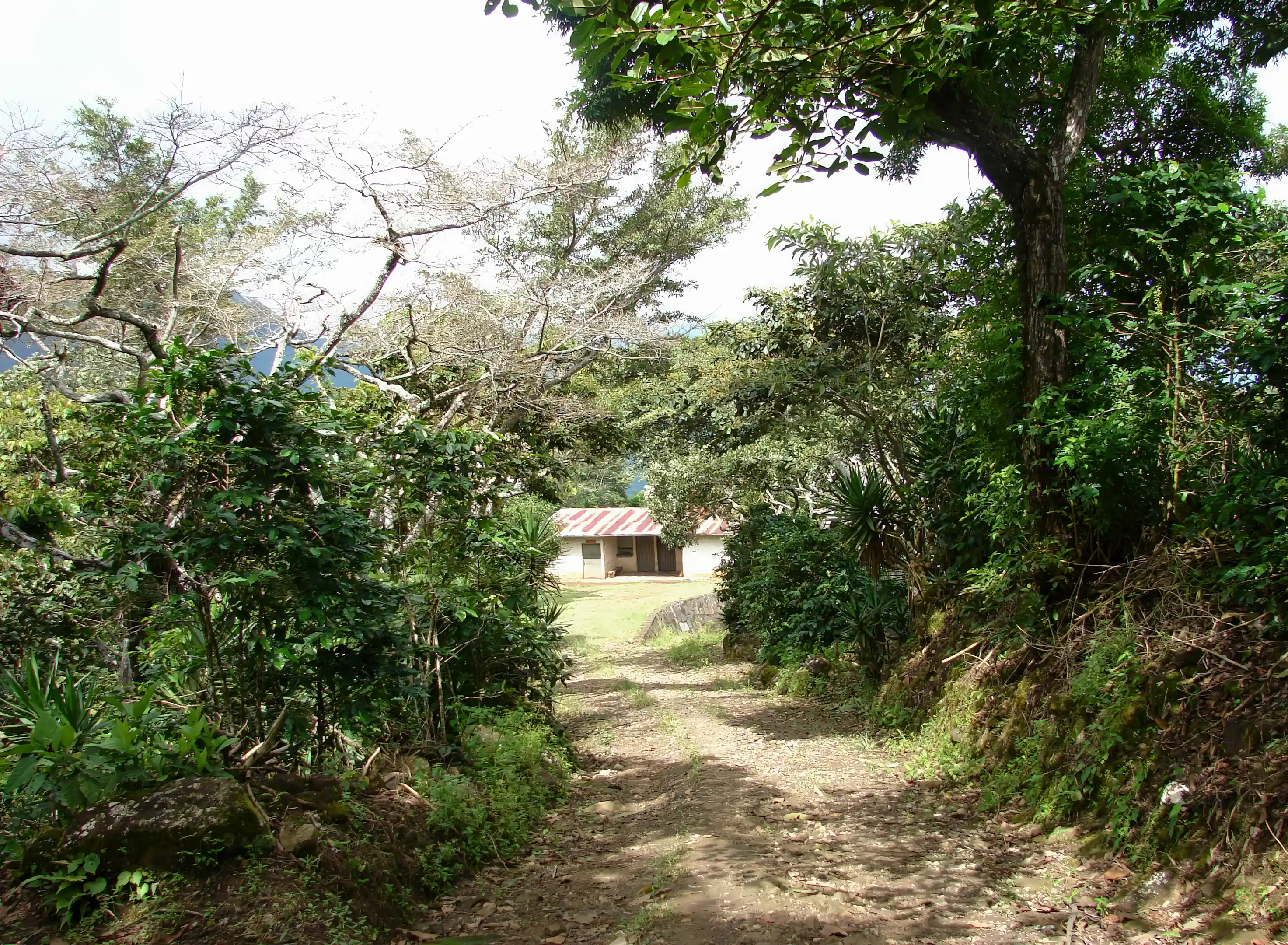 Entrance to the property.
