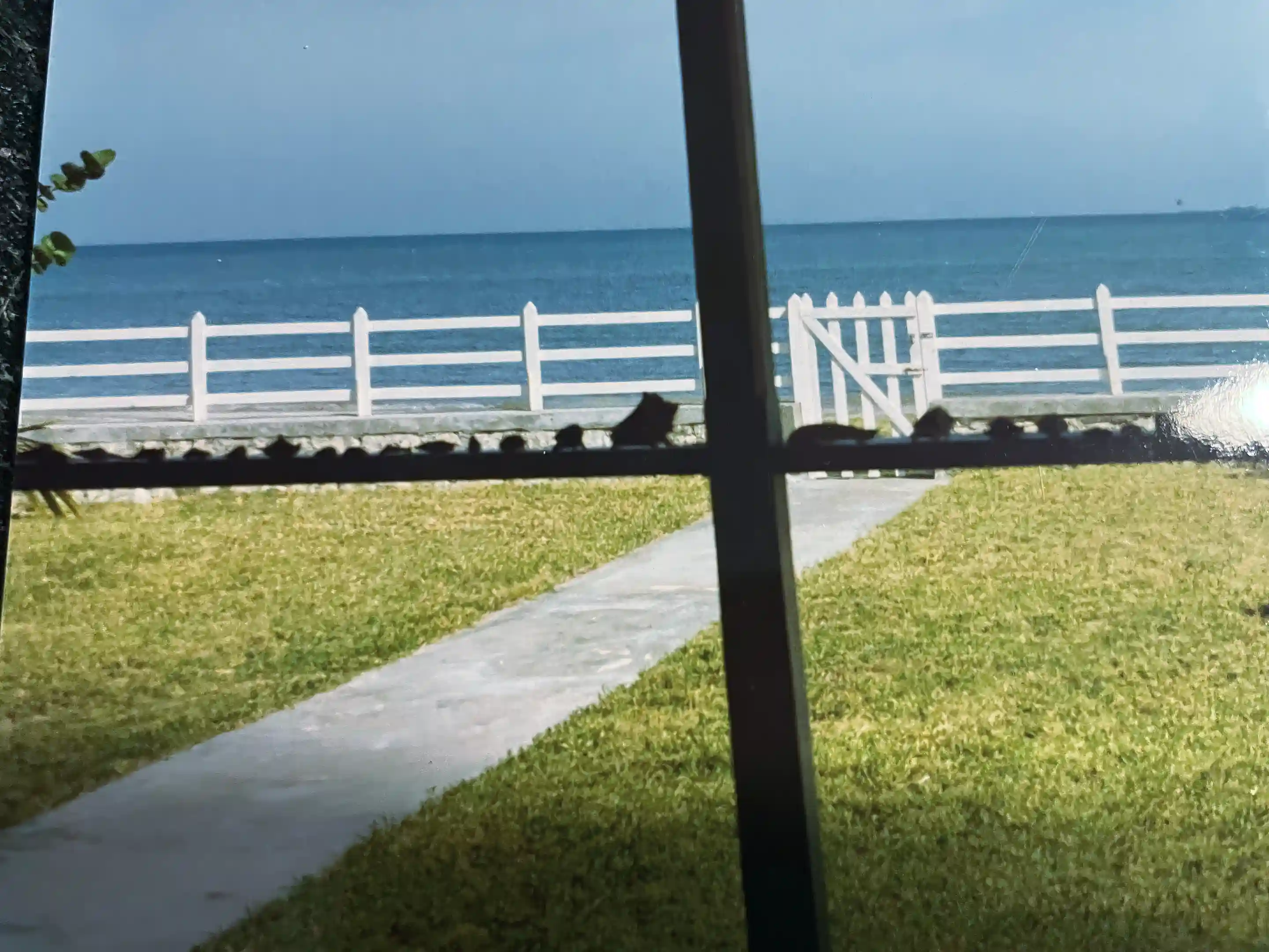 Beachfront for Sale in Seafront, Parottee, Saint Elizabeth, Jamaica