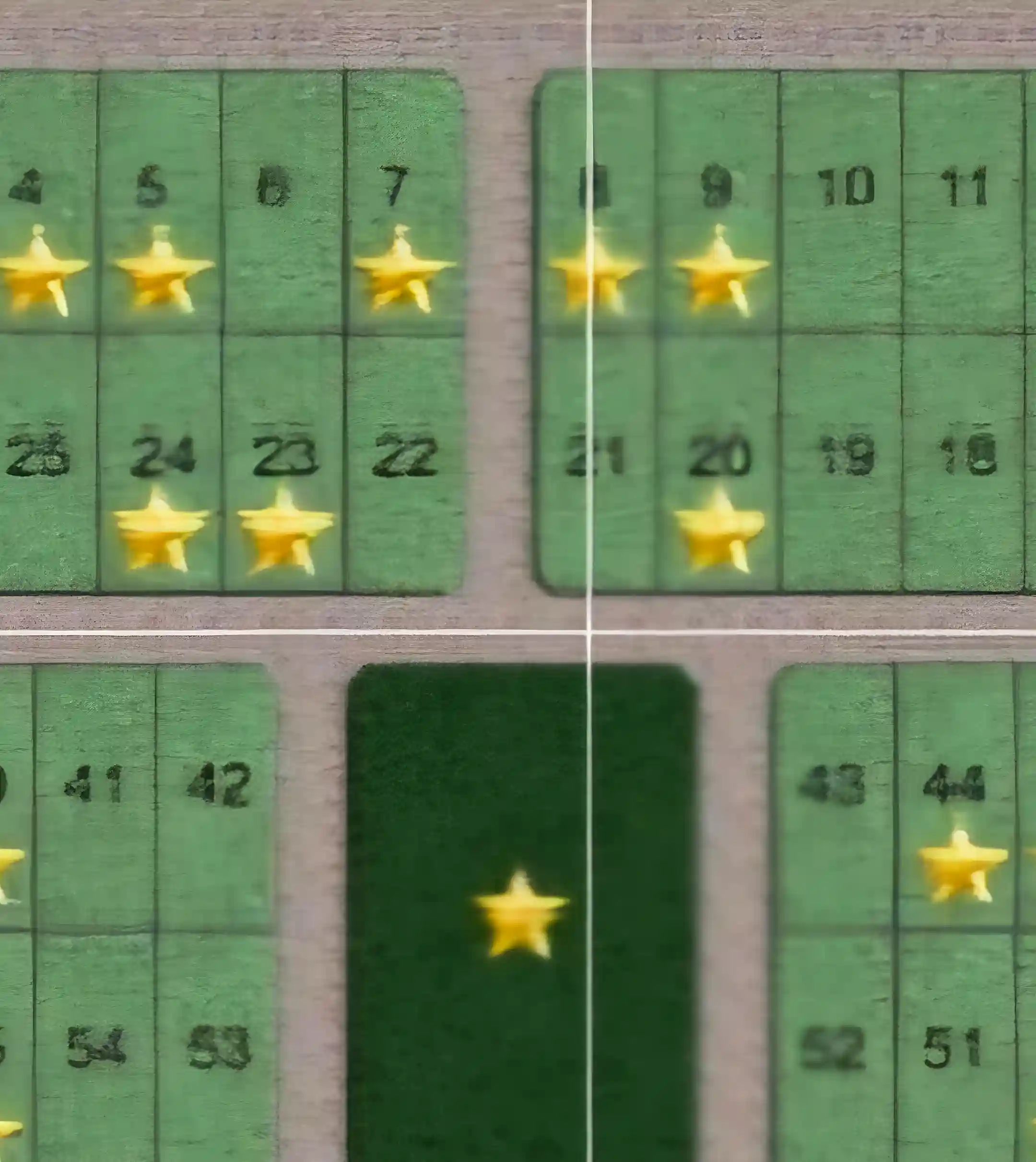 Lot 21 - stars indicate houses
green space star indicates the...