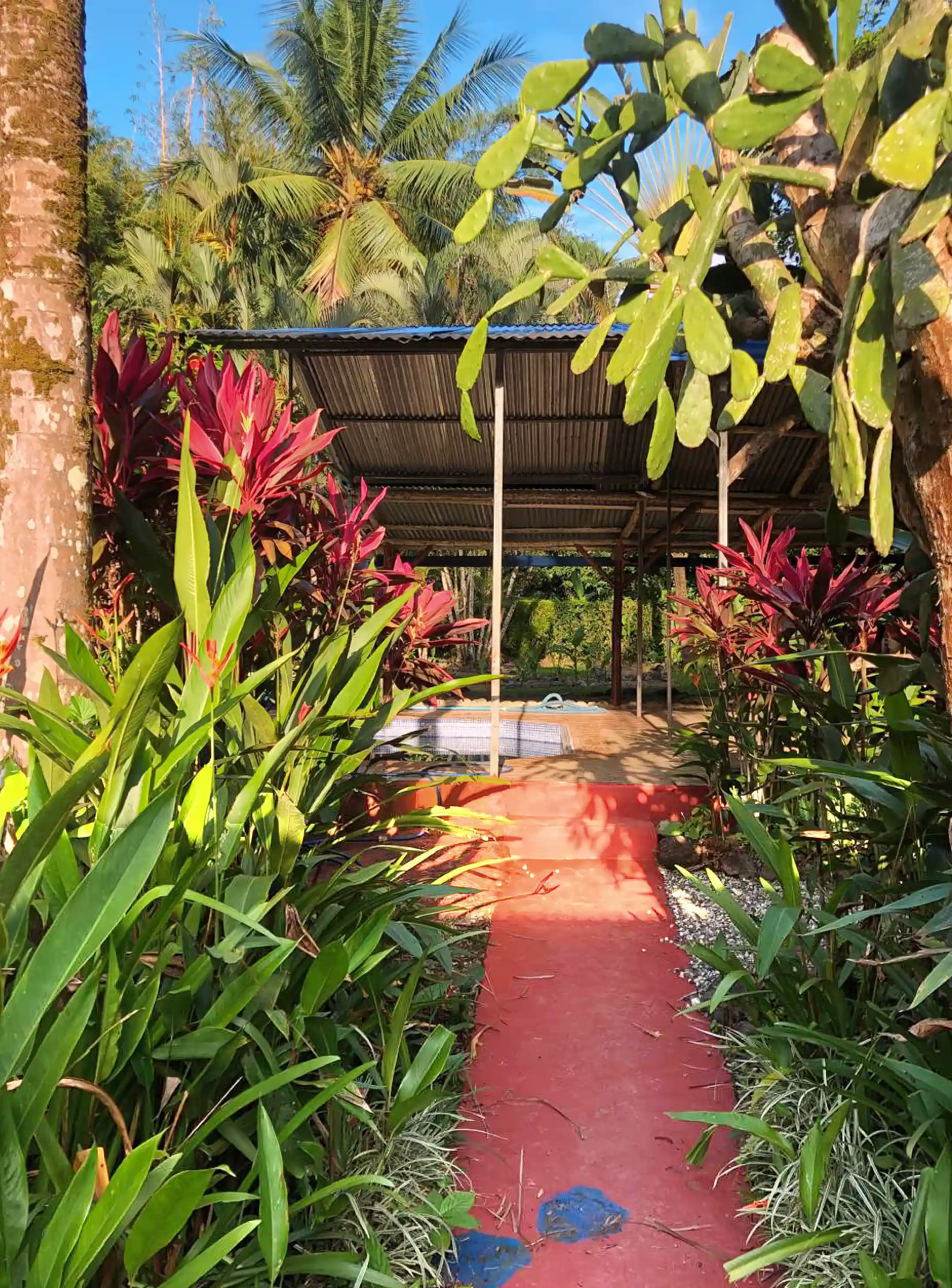 Room for Rent in 1 Calle Ara, Calle Del Jardin, Bahia Ballena, Osa, Puntarenas, Costa Rica