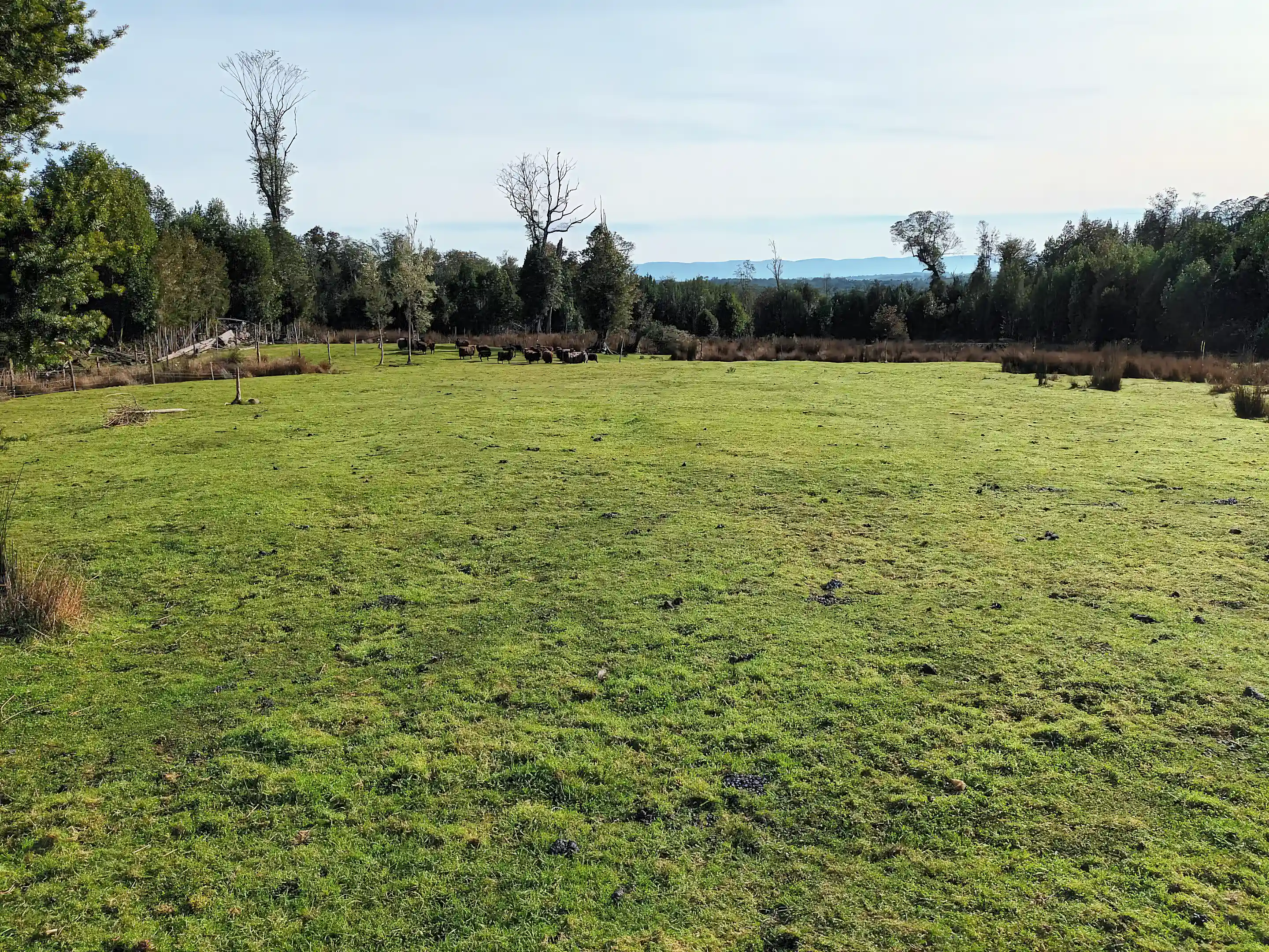 Farm for Sale in Chonchi, Chiloe, los Lagos, Chile