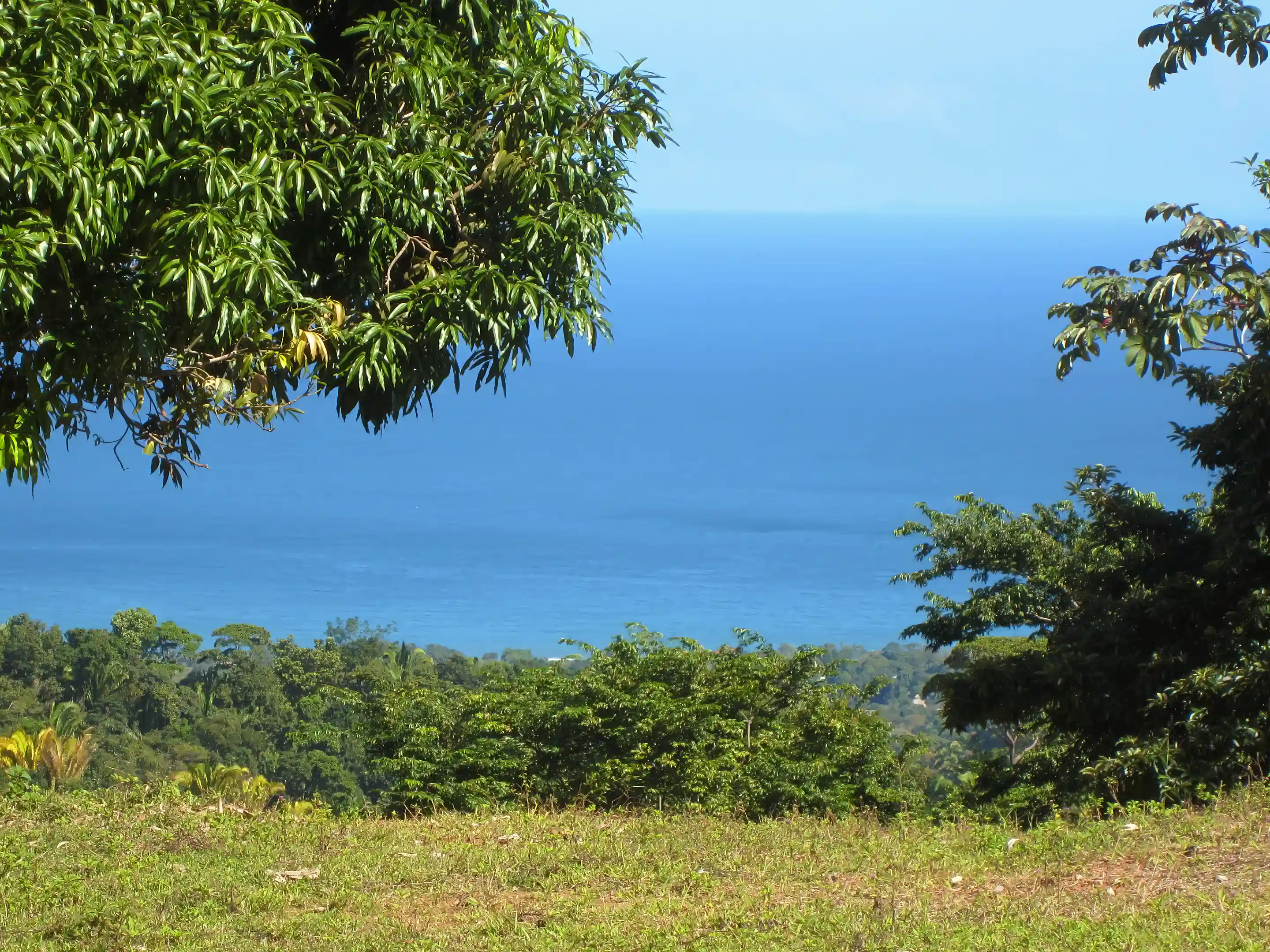 View of the Caribbean from the lowest plateau on the...