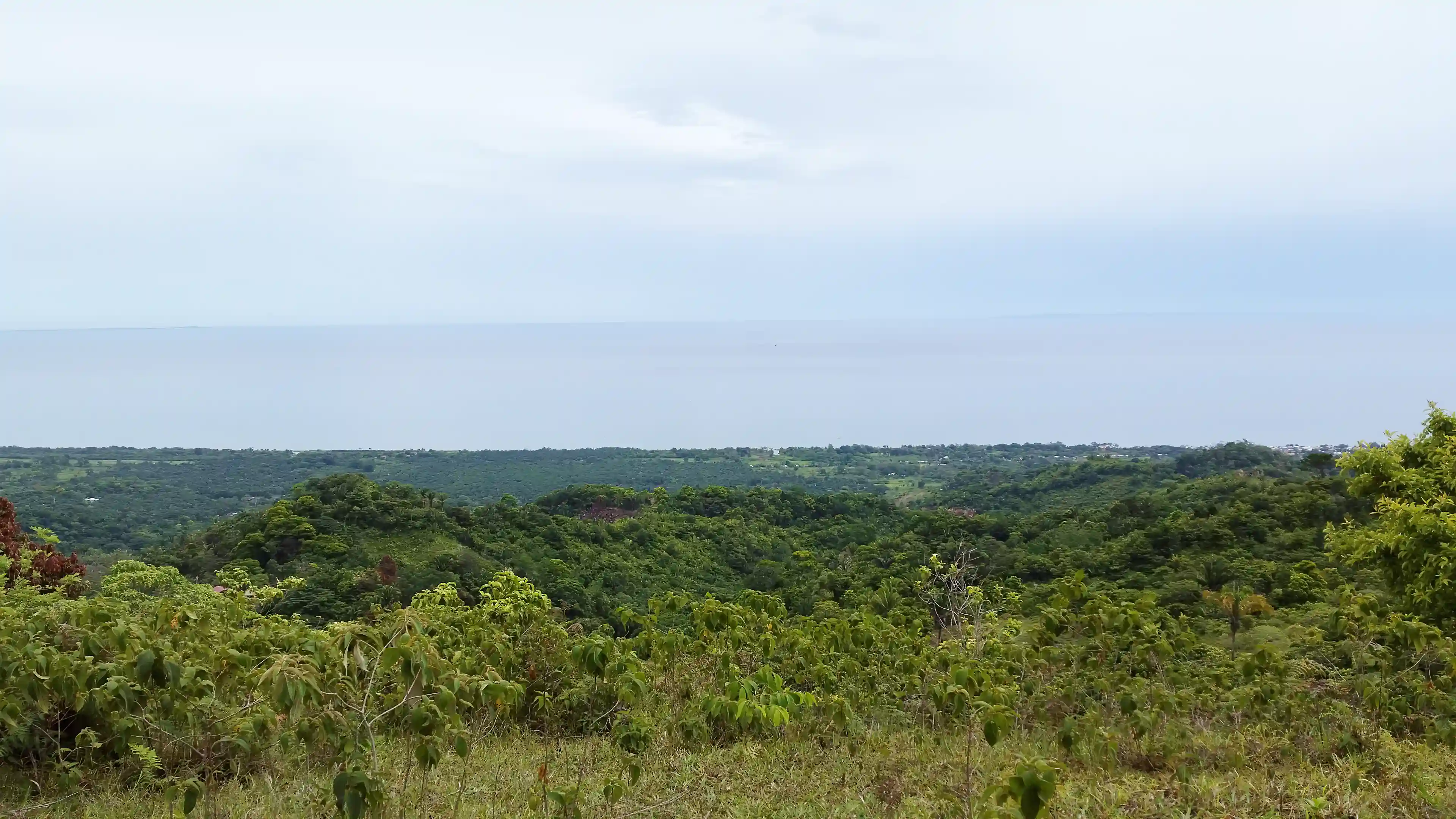 View to the north from the lowest plateau