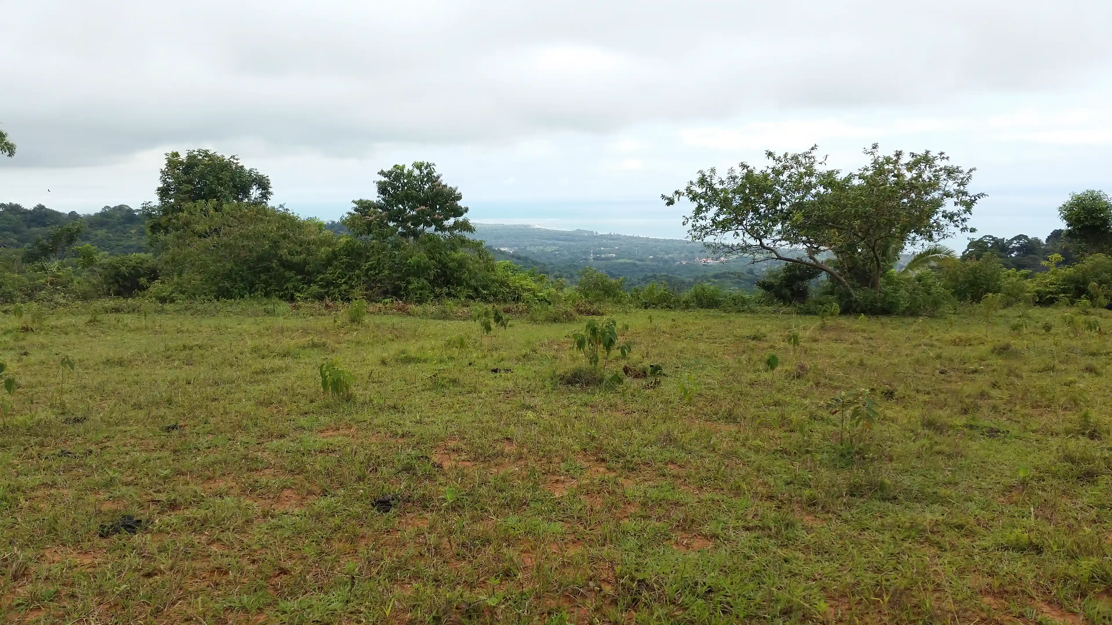 View of the second highest plateau on the property, with...