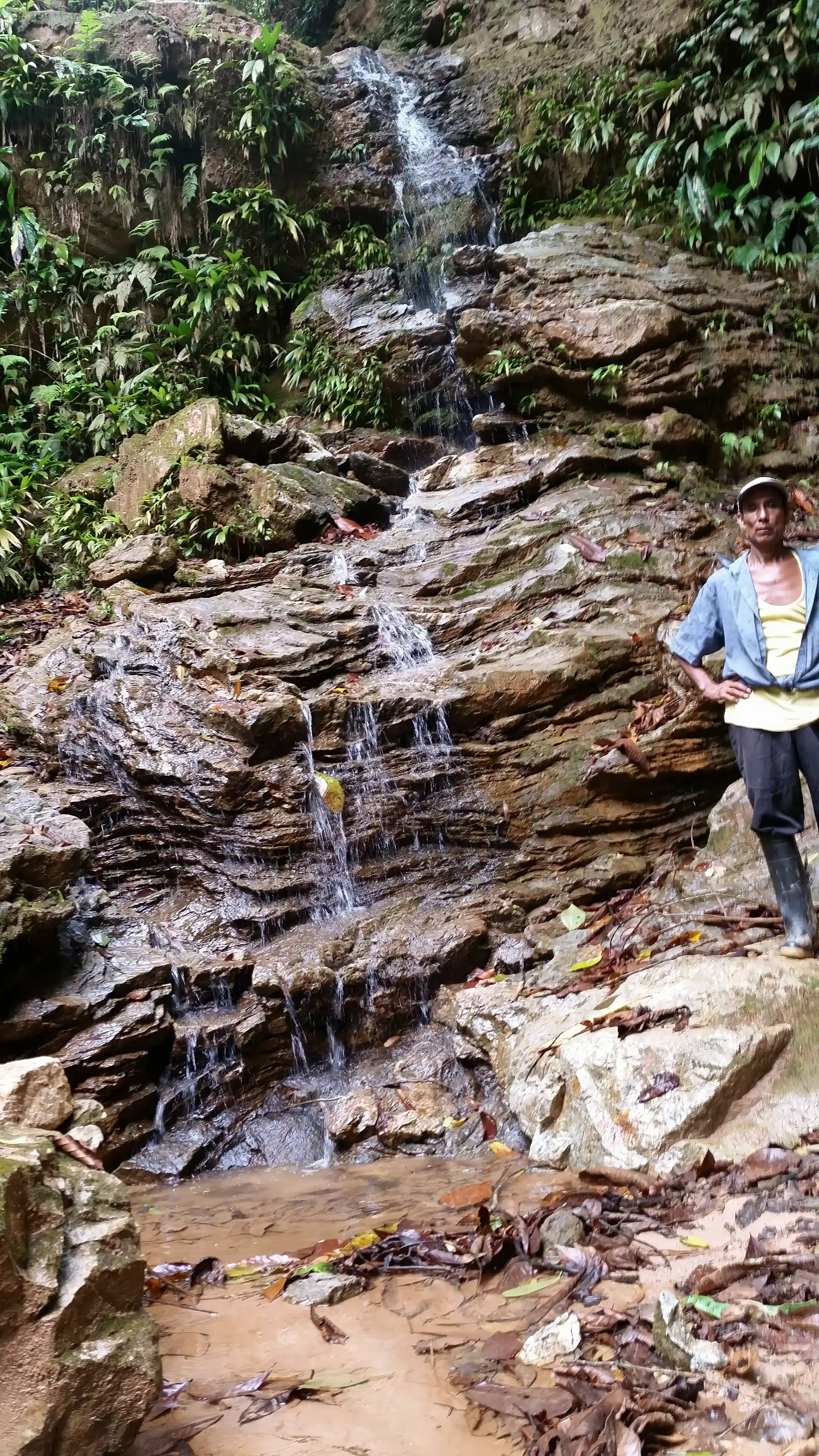 Waterfall on the property