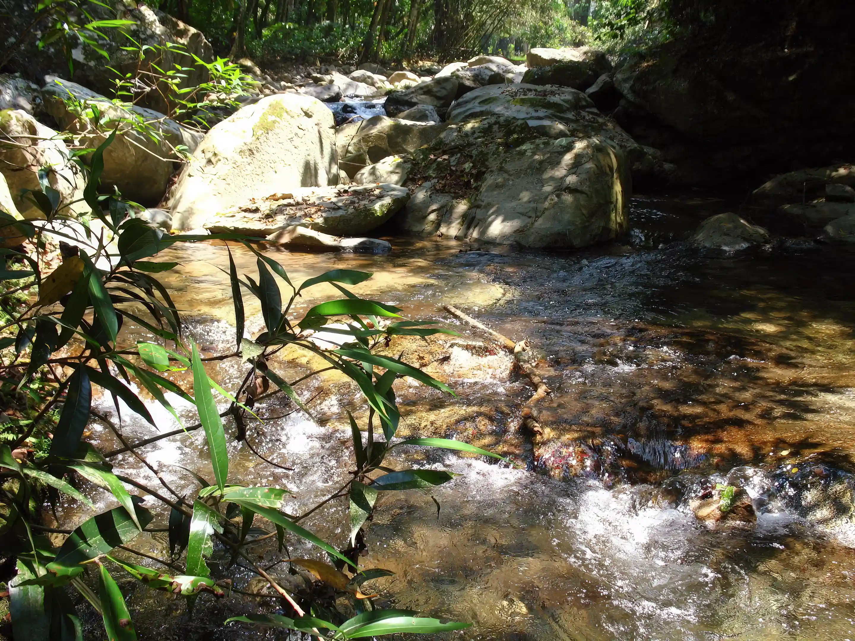Freshwater creek on the property, running half the year