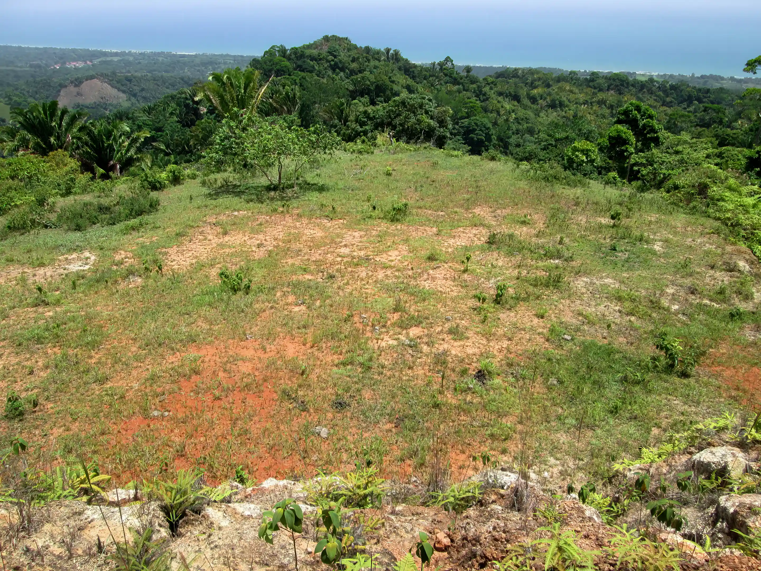 View of the highest plateau on the property, including view...