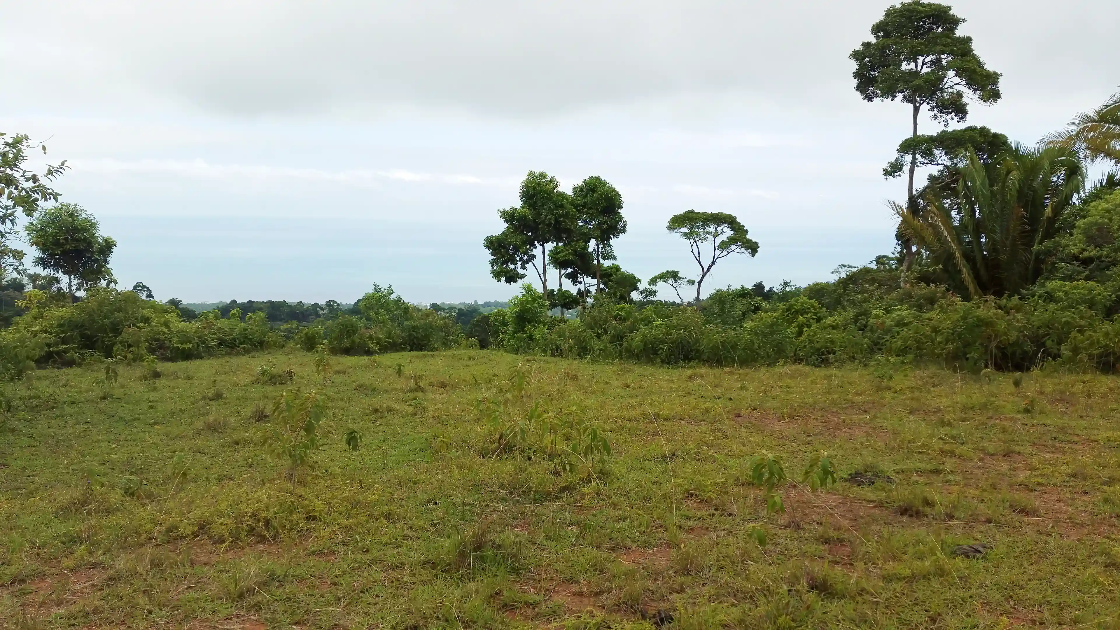 View to the west, from the second highest plateau on...