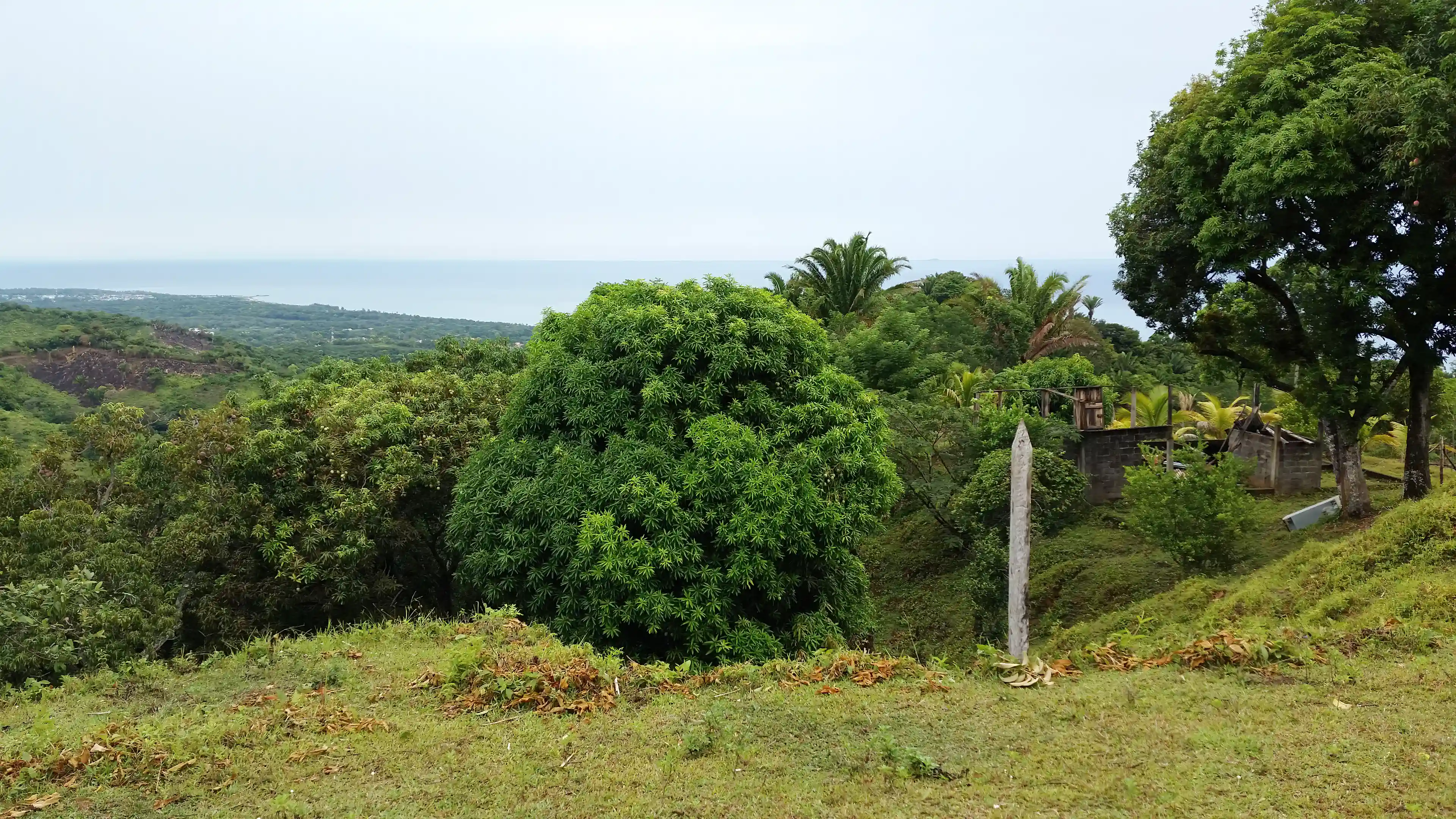 Another view to the northeast, from the second highest plateau...
