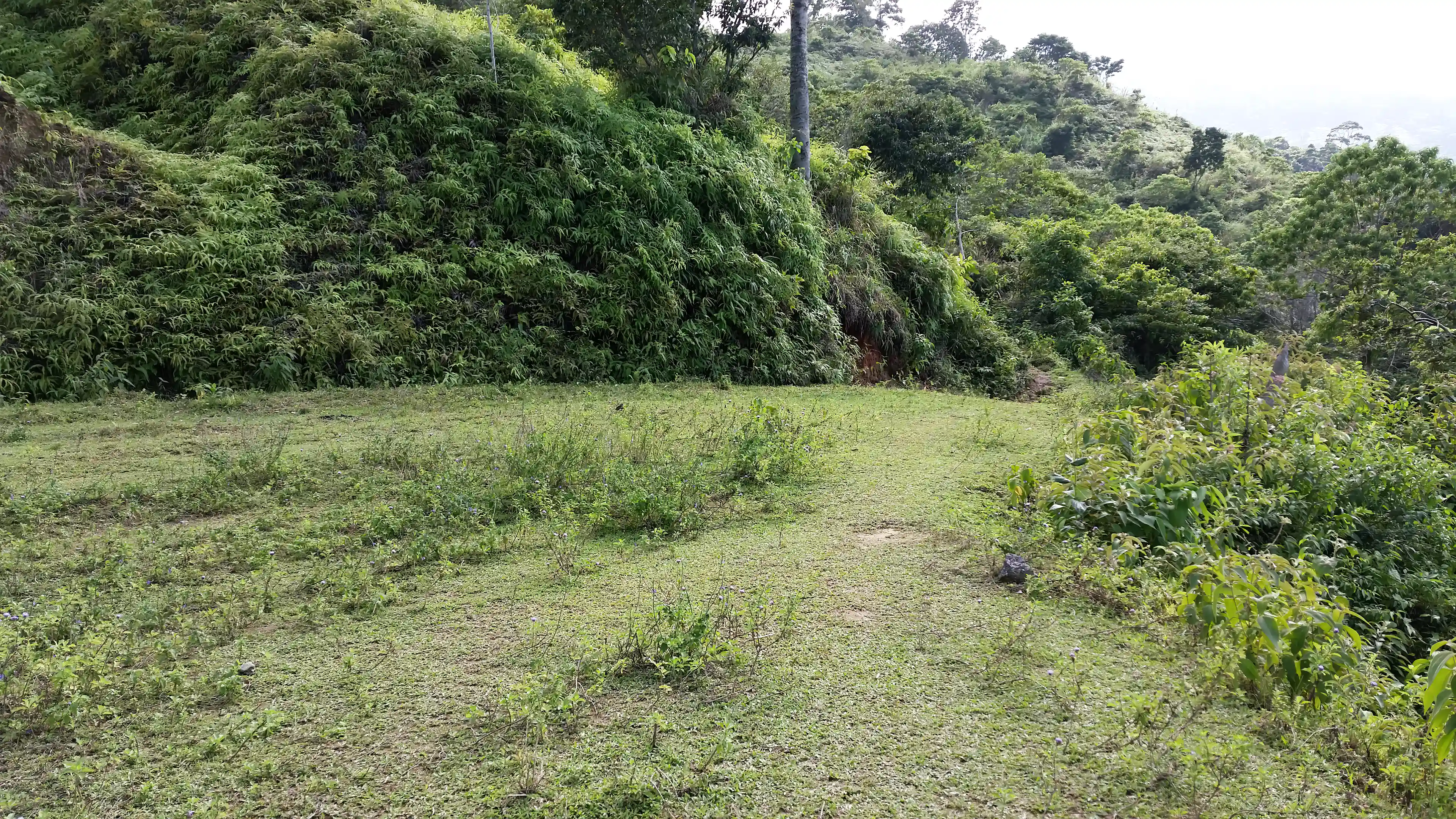 View of the second highest plateau on the property