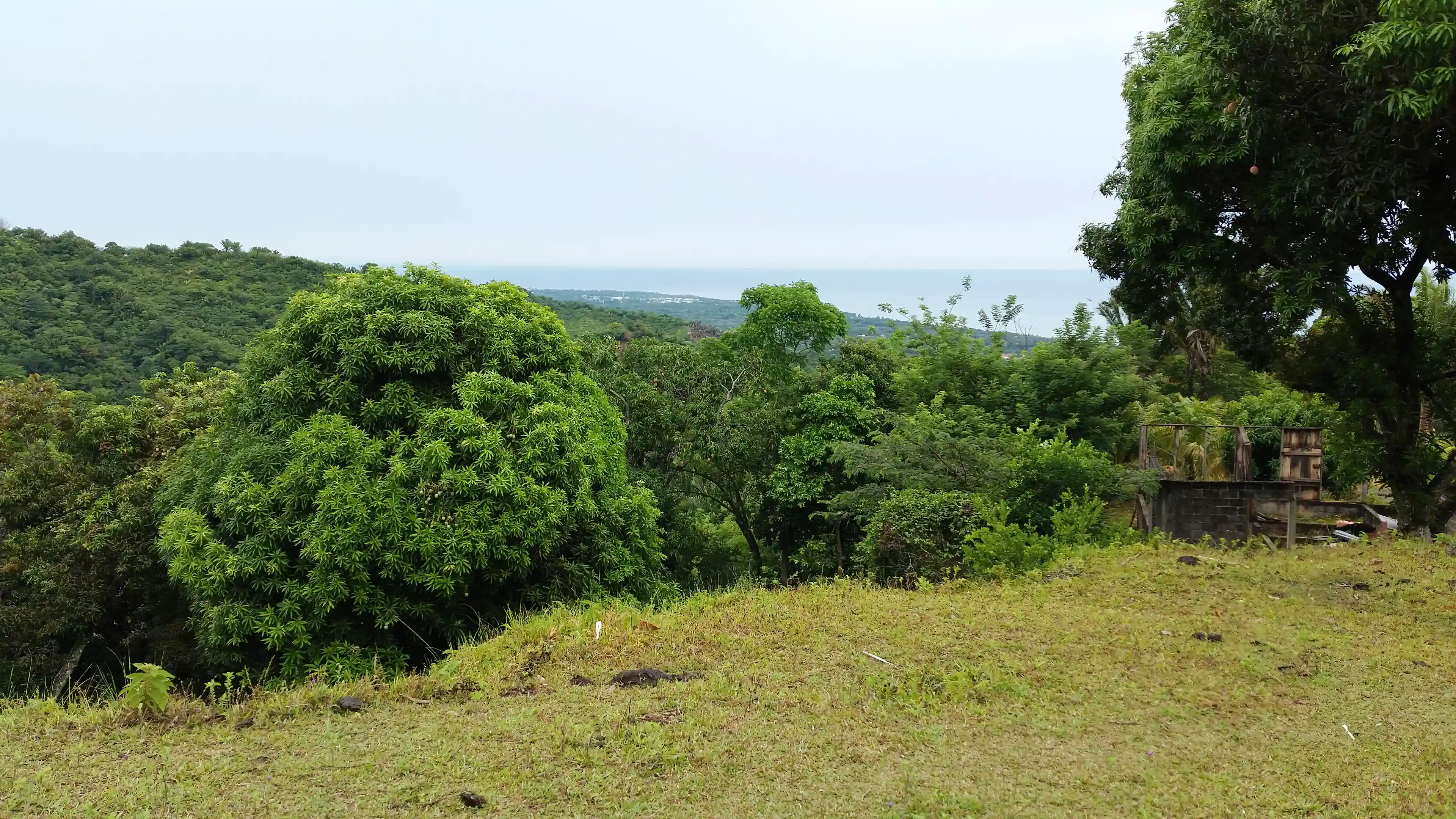 View second highest plateau, including the Caribbean