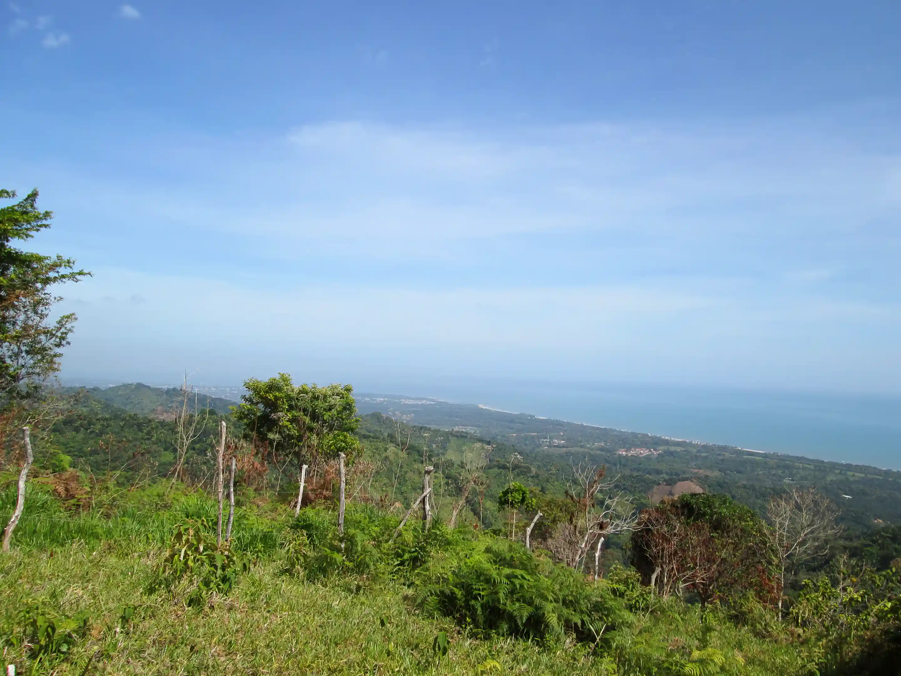 View to the North from the top of the property
