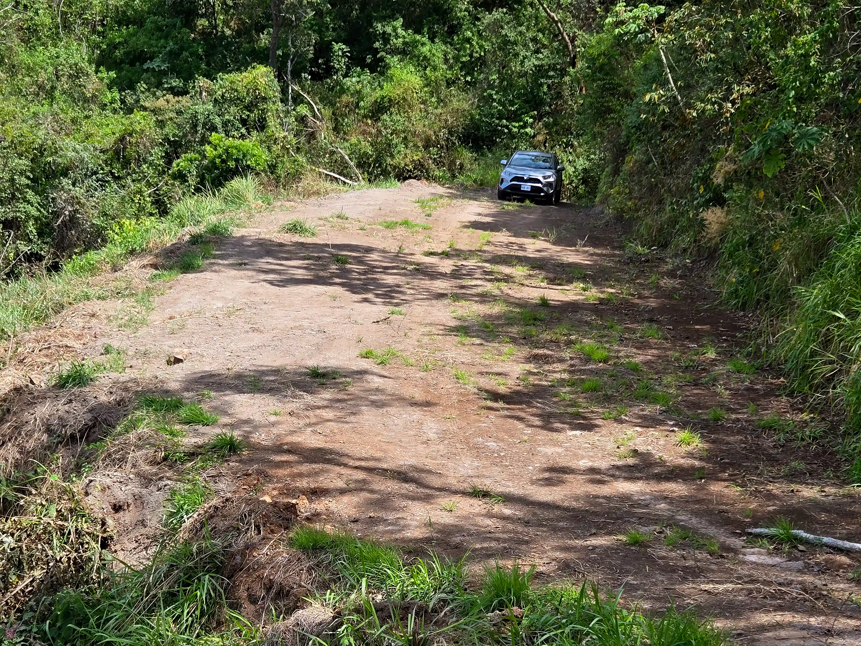 Lower plateau of Lot 3, seen from the upper plateau