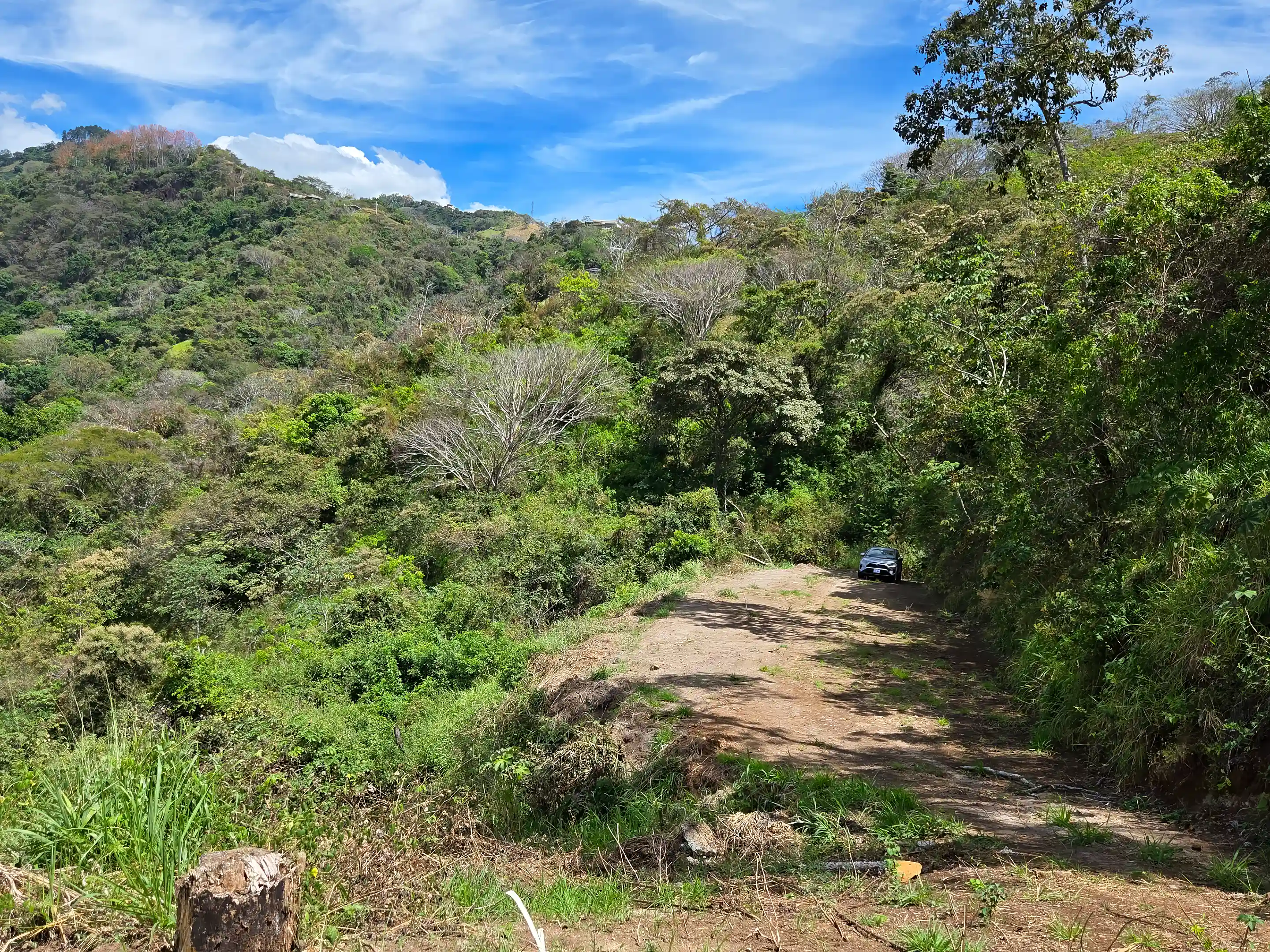 View of the lower plateau of Lot 3, seen from...