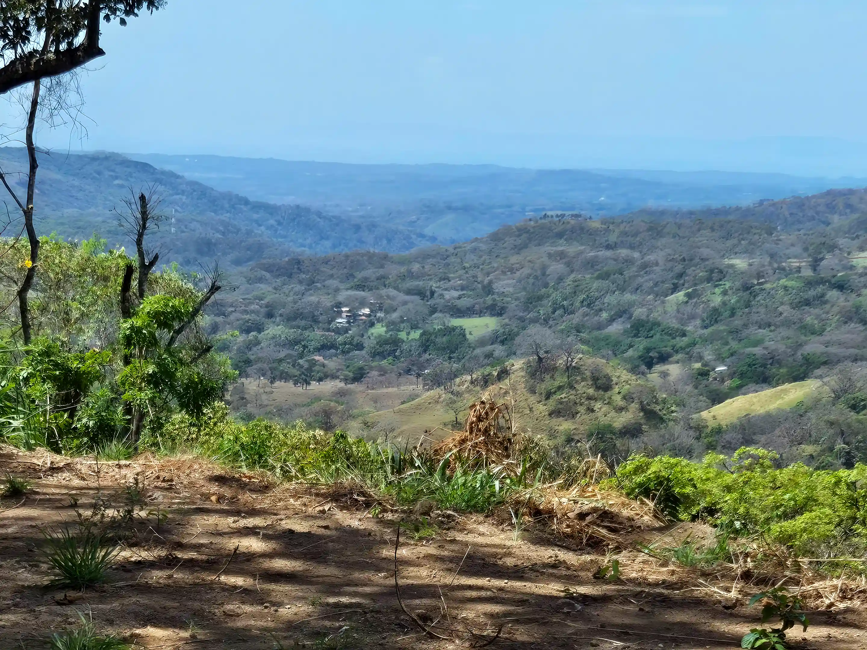 View of the Pacific Ocean from Lot 1