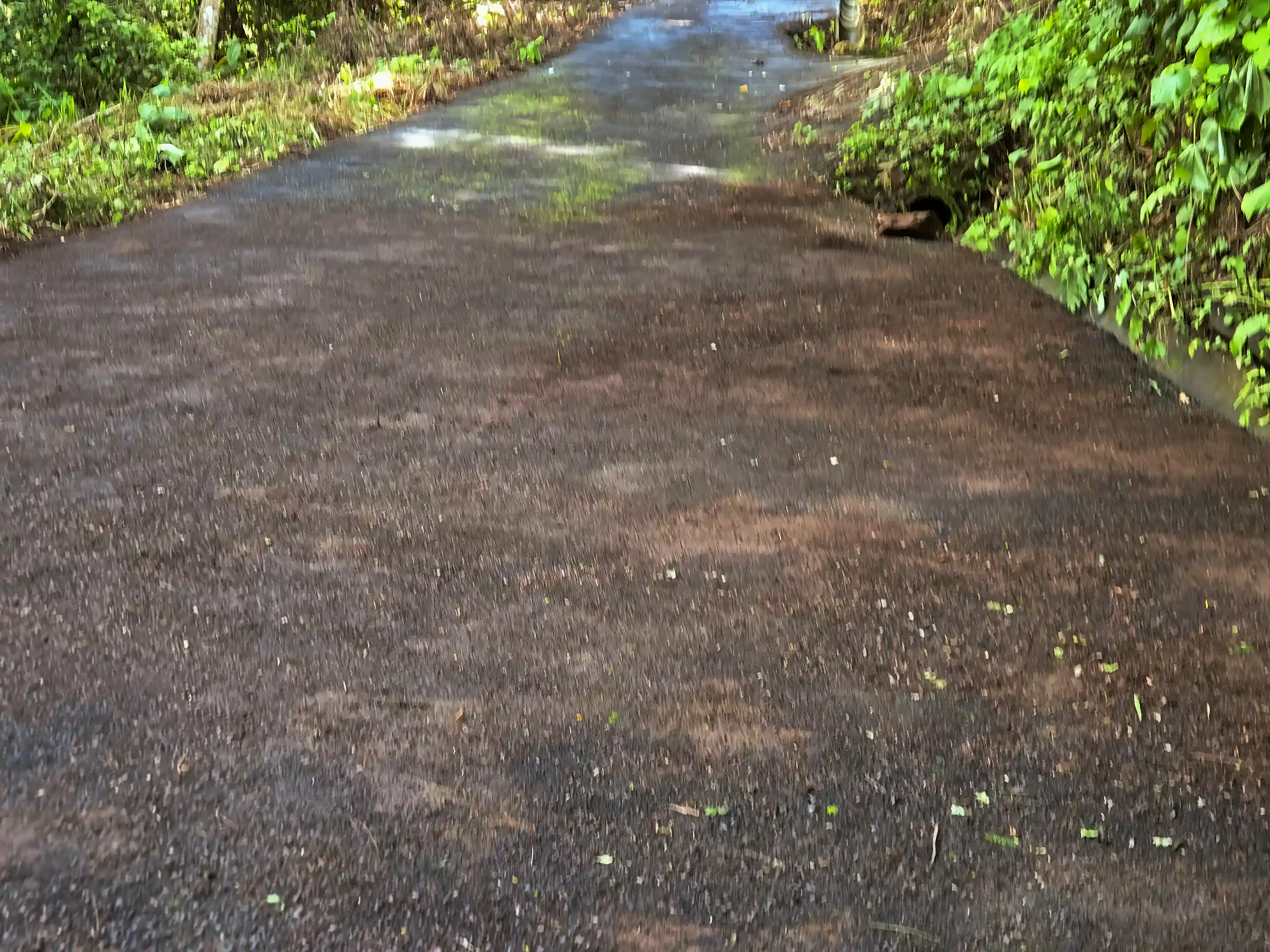 Asphalt driveway ascending to Lots 1, 2 and 3. Entrance...