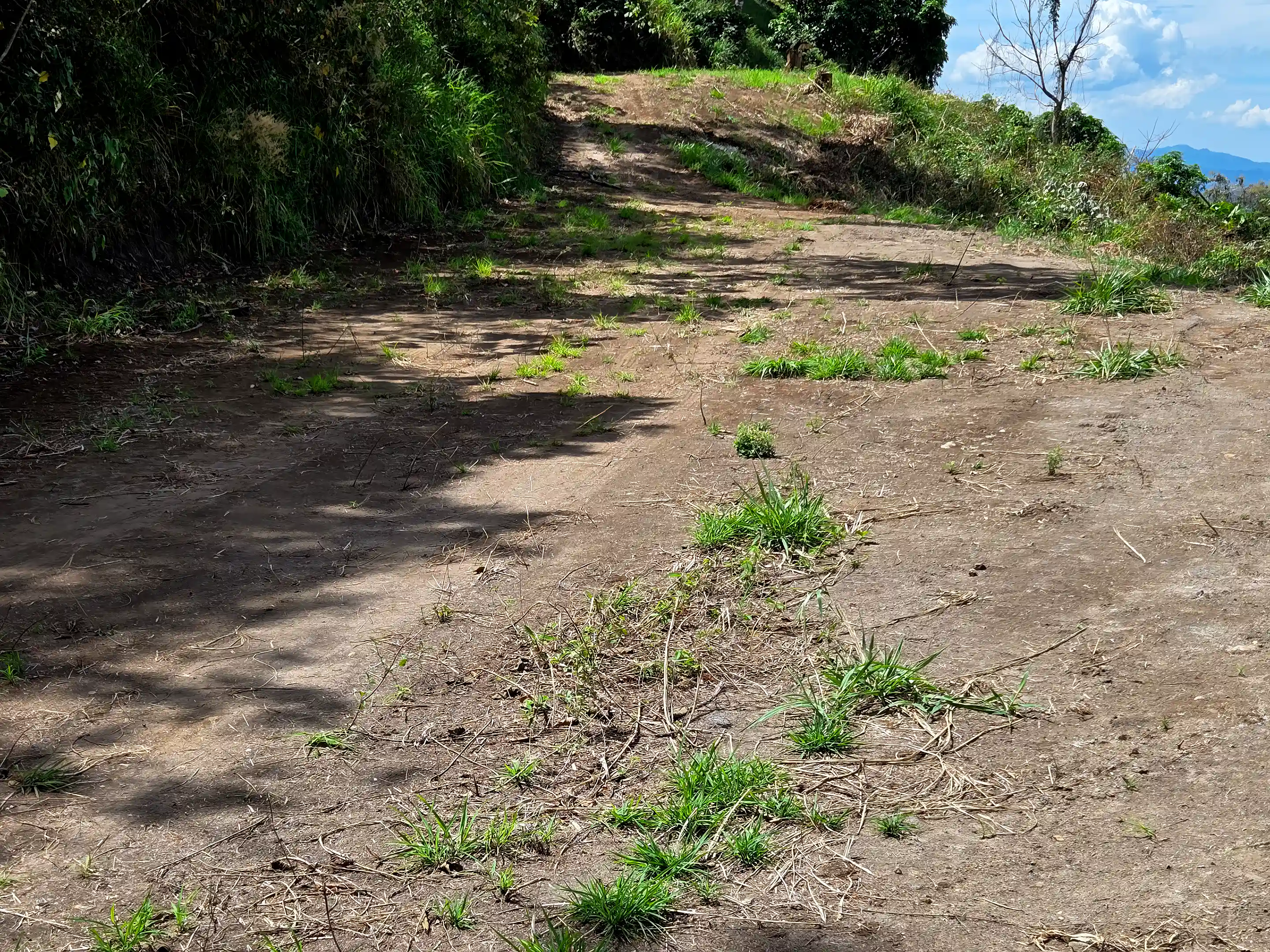On lower plateau of Lot 3, looking toward the upper...