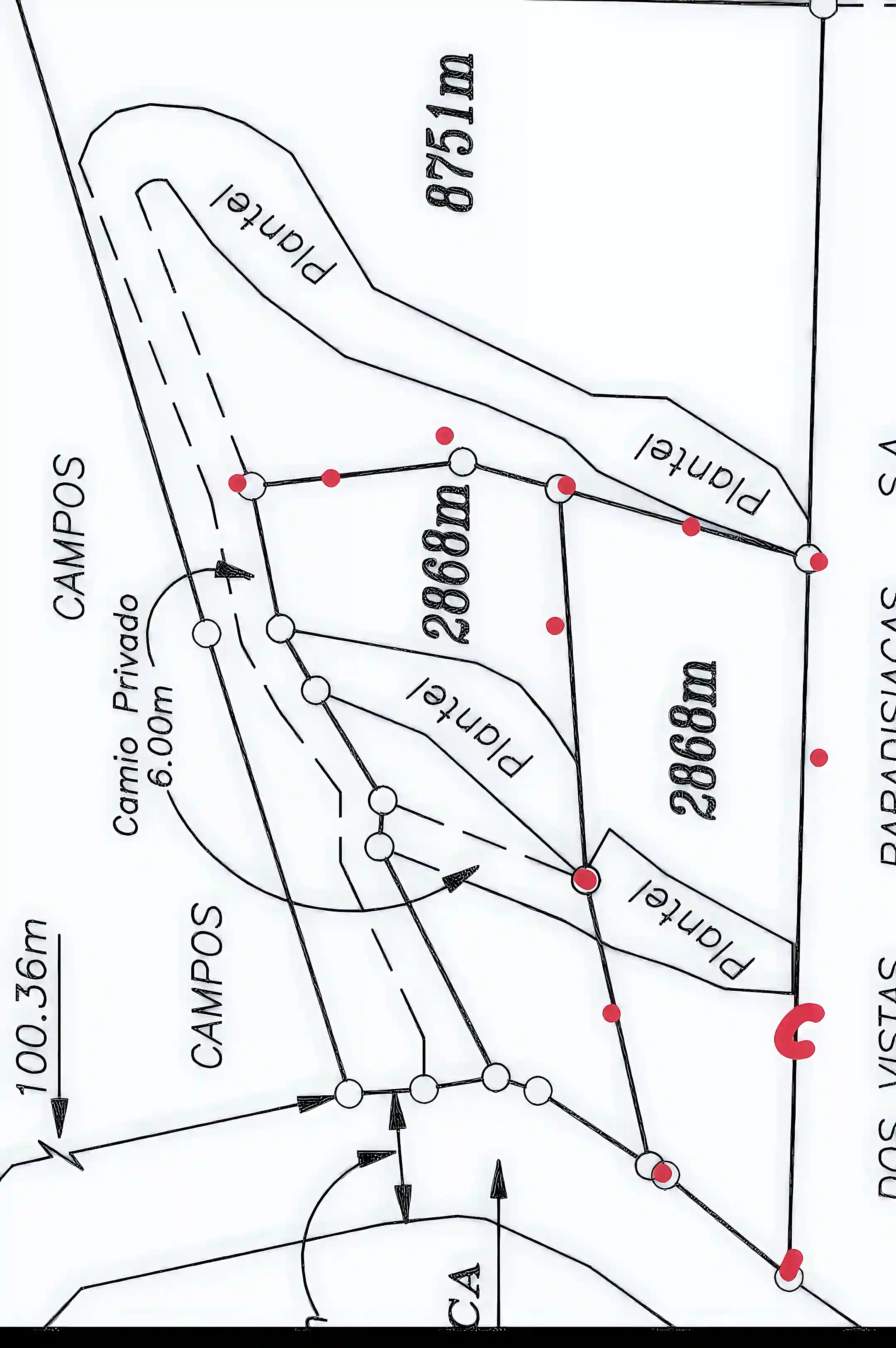 Showing the location of the driveway (left side) Planteles (Lots)...