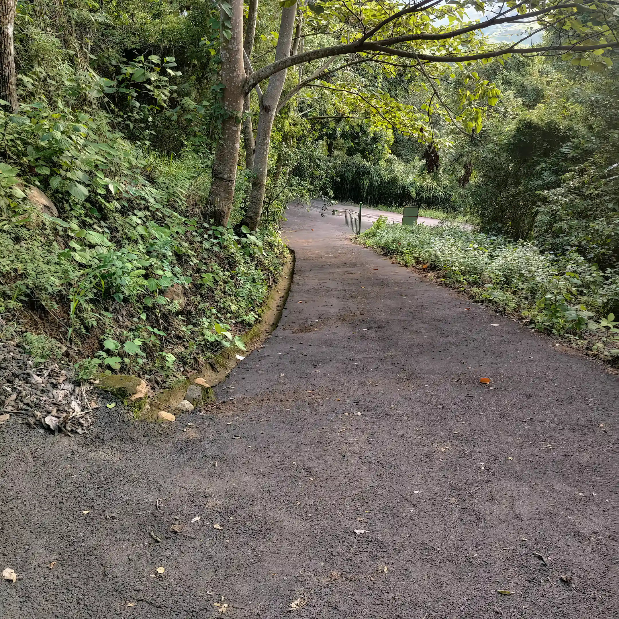 View from entrance to Lot 2, looking down the...