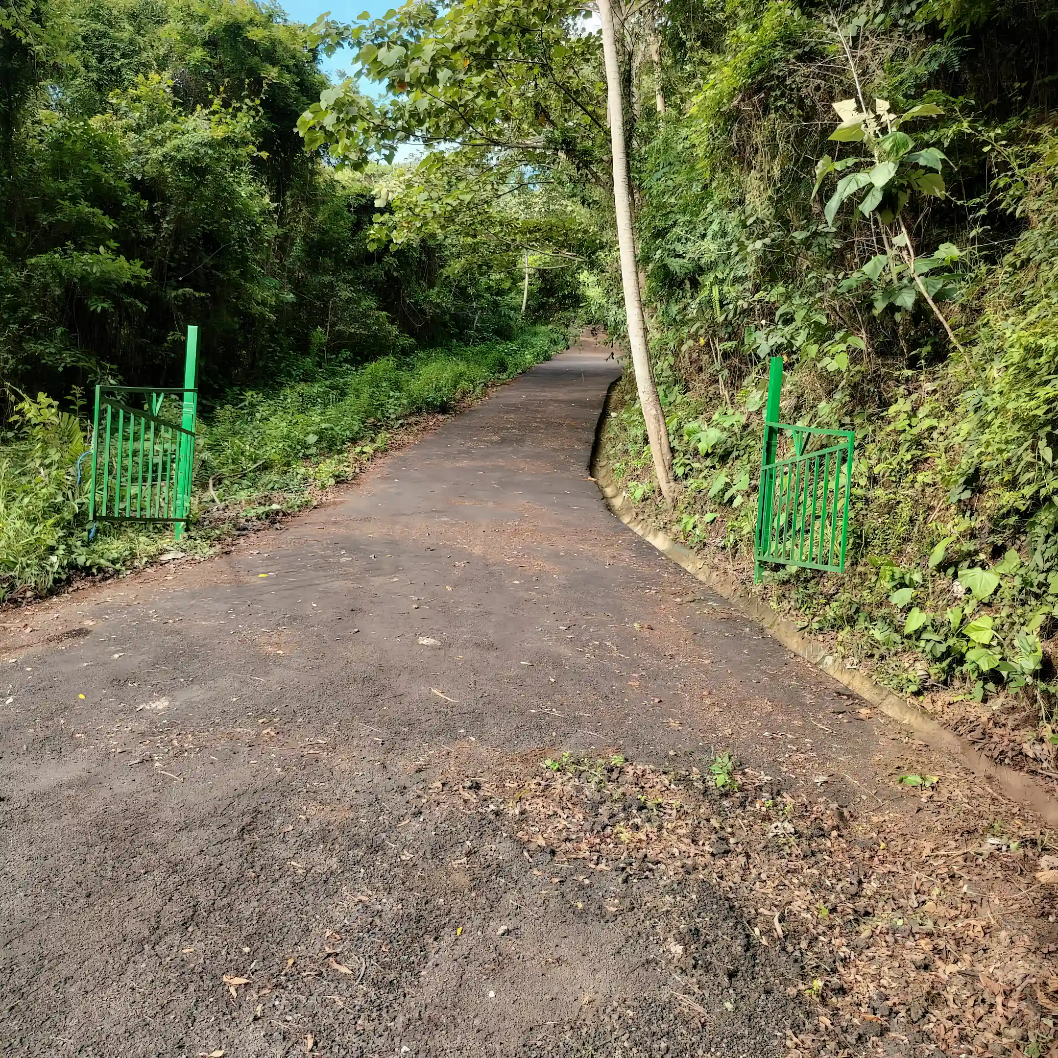 View of gate and asphalt entrance road from public street