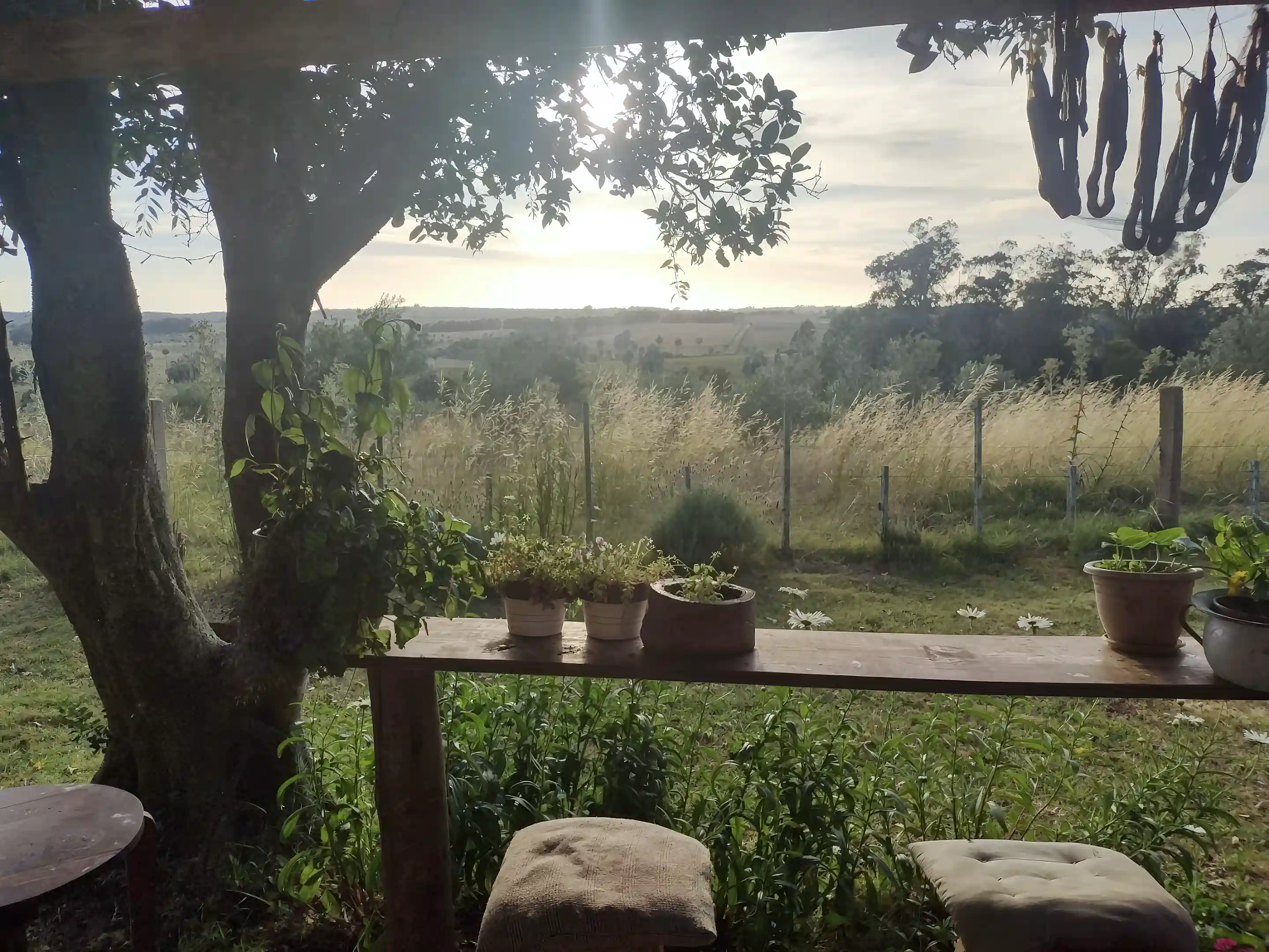 View from the veranda