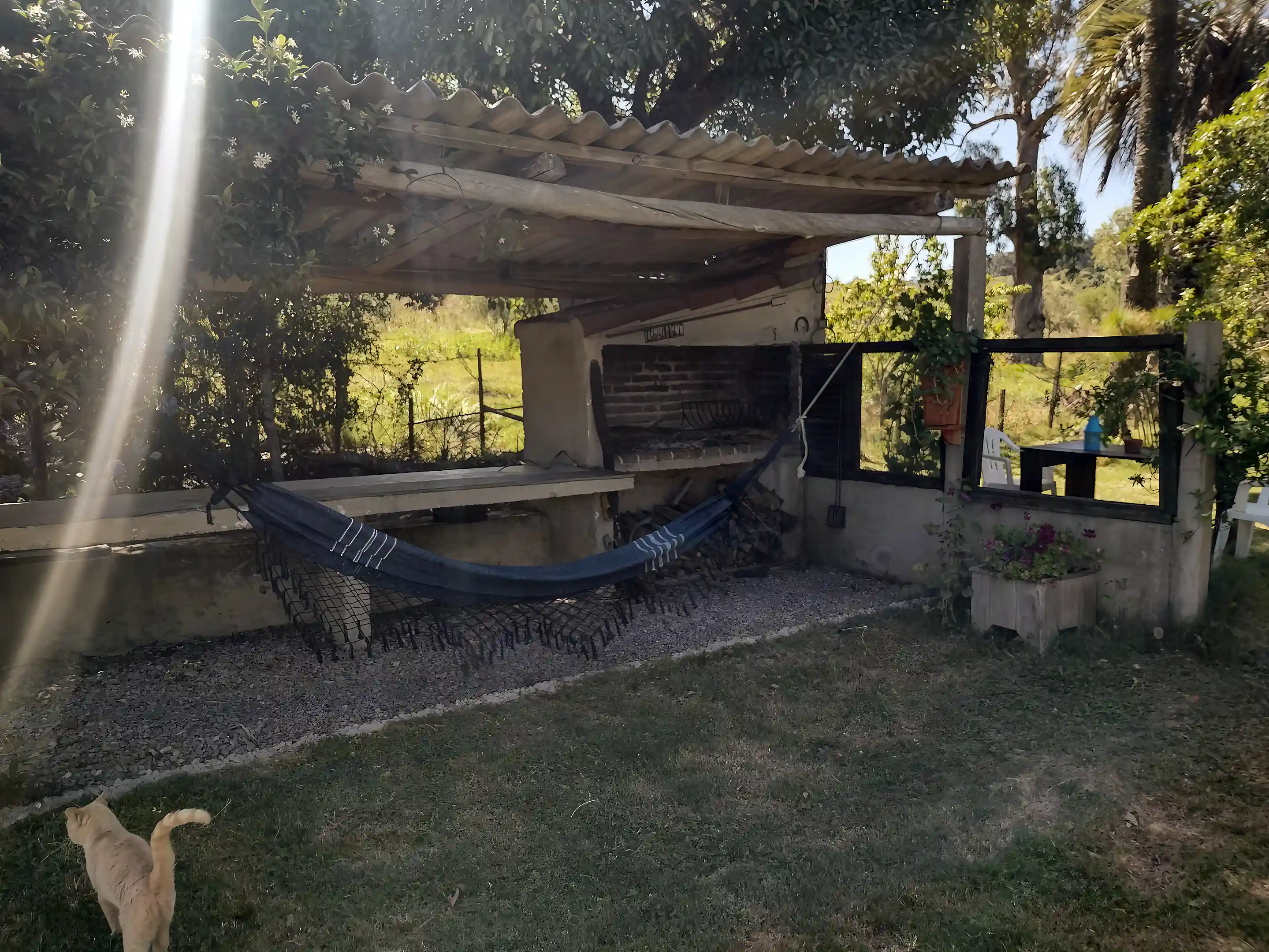 Parilla