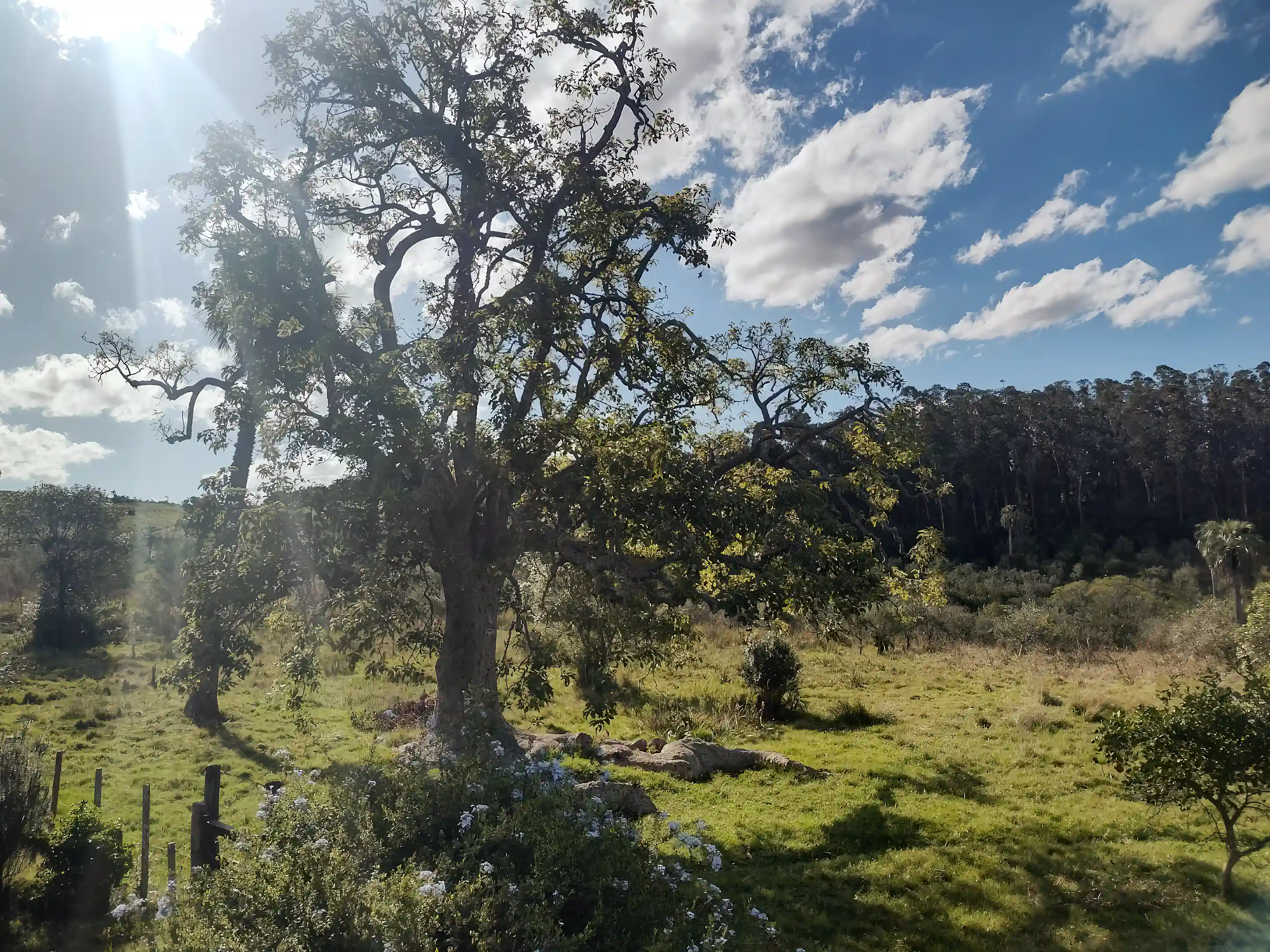 View of property's landscape North
