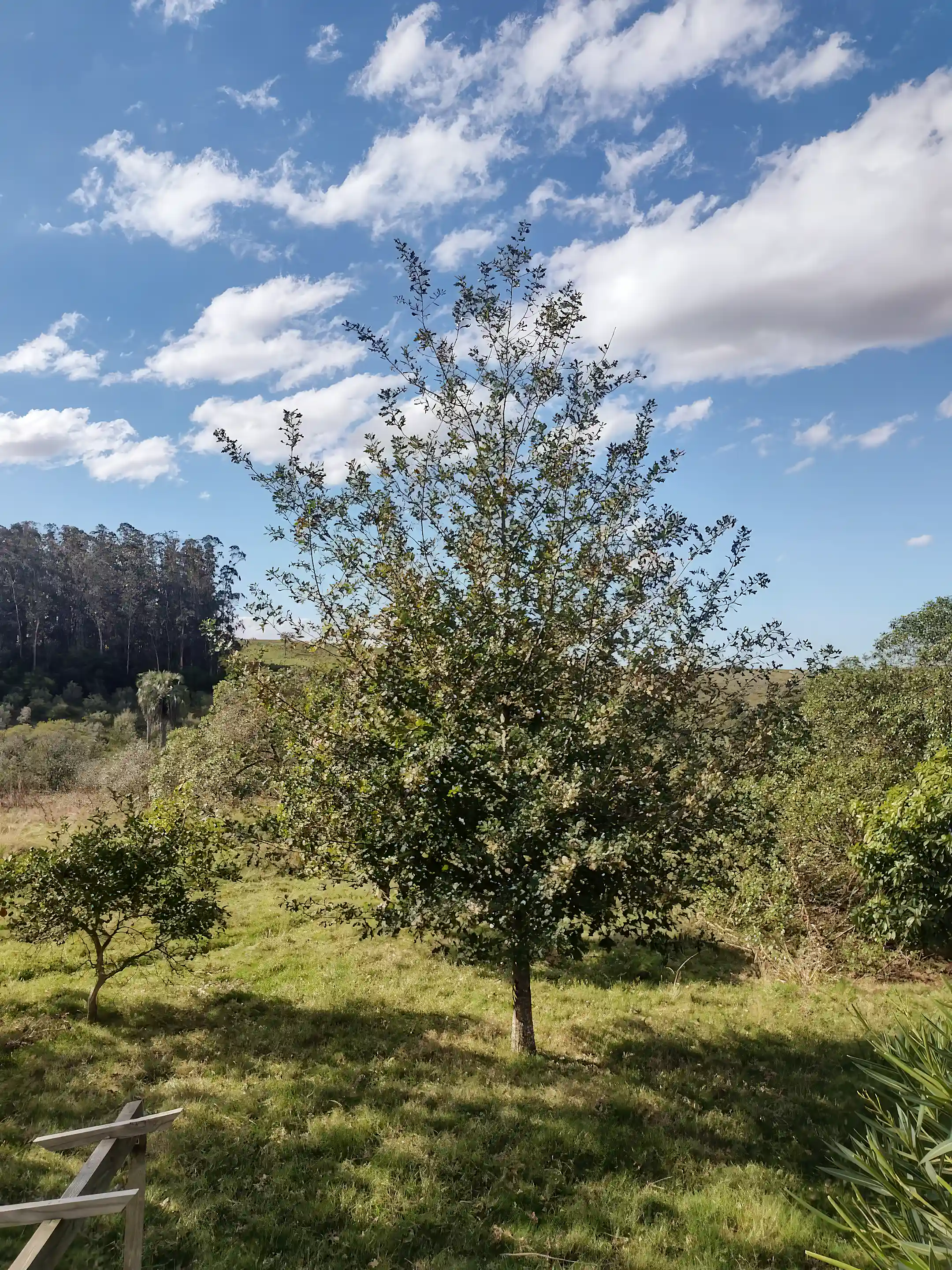 View over the property’s natural landscape 6 hectares (14.8...