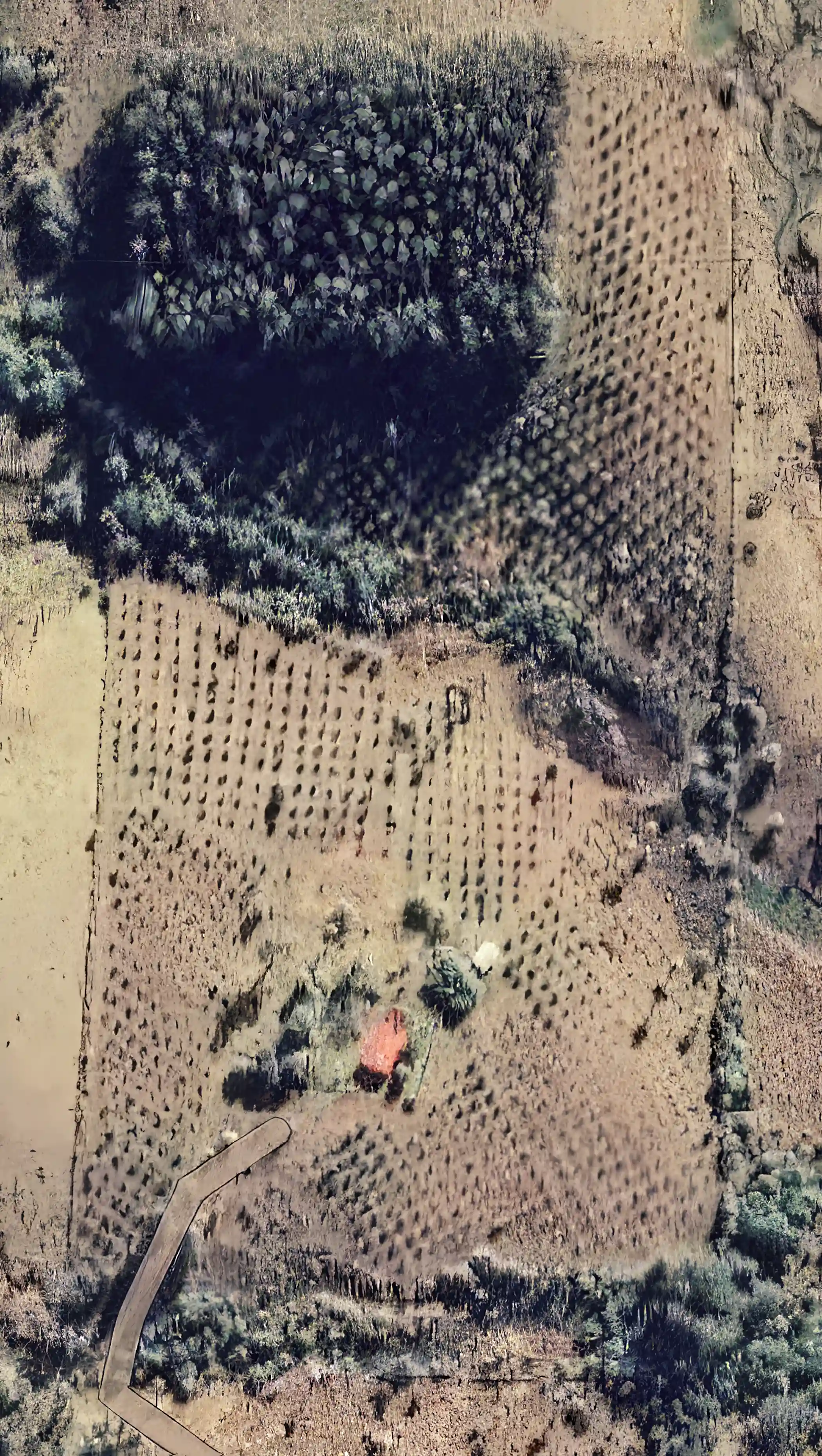 View from Google Maps