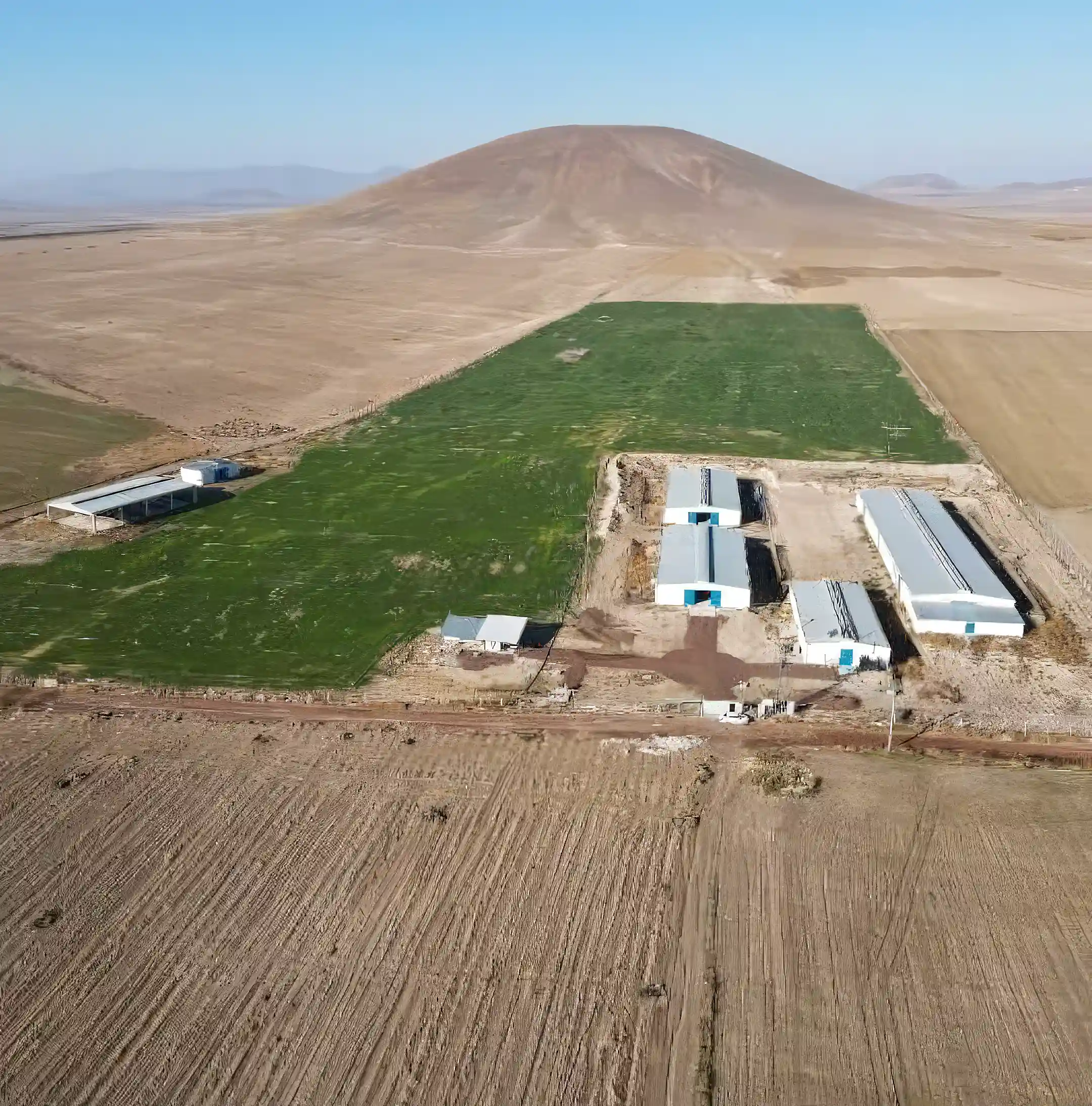 Productive Farm for Sale in Zengen Cadastral Road, Zengen Rural Area, Zengen, Ere?li, Eregli, Konya, Turkey
