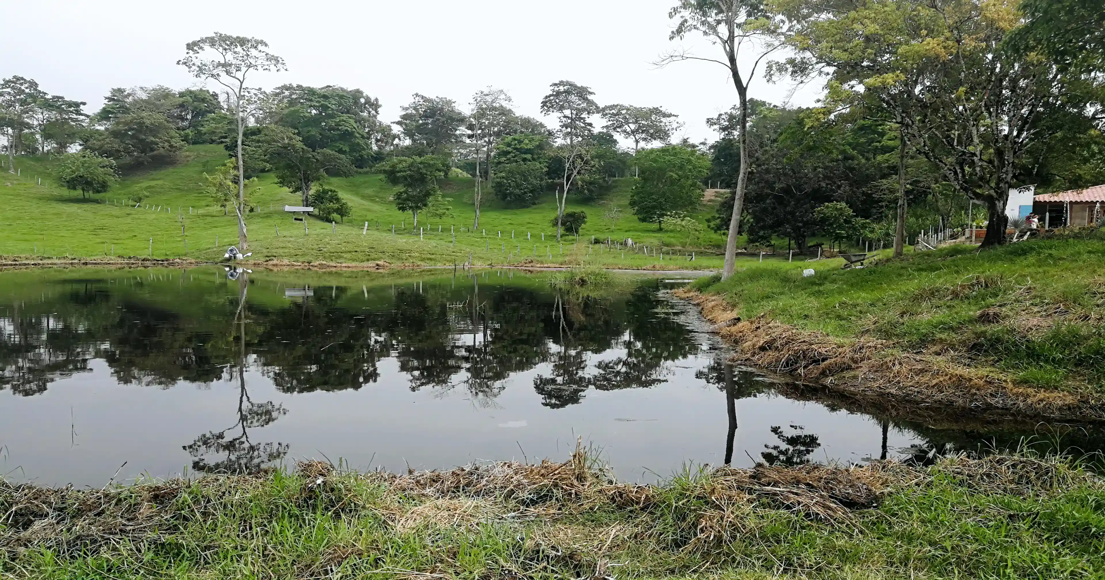 Lake