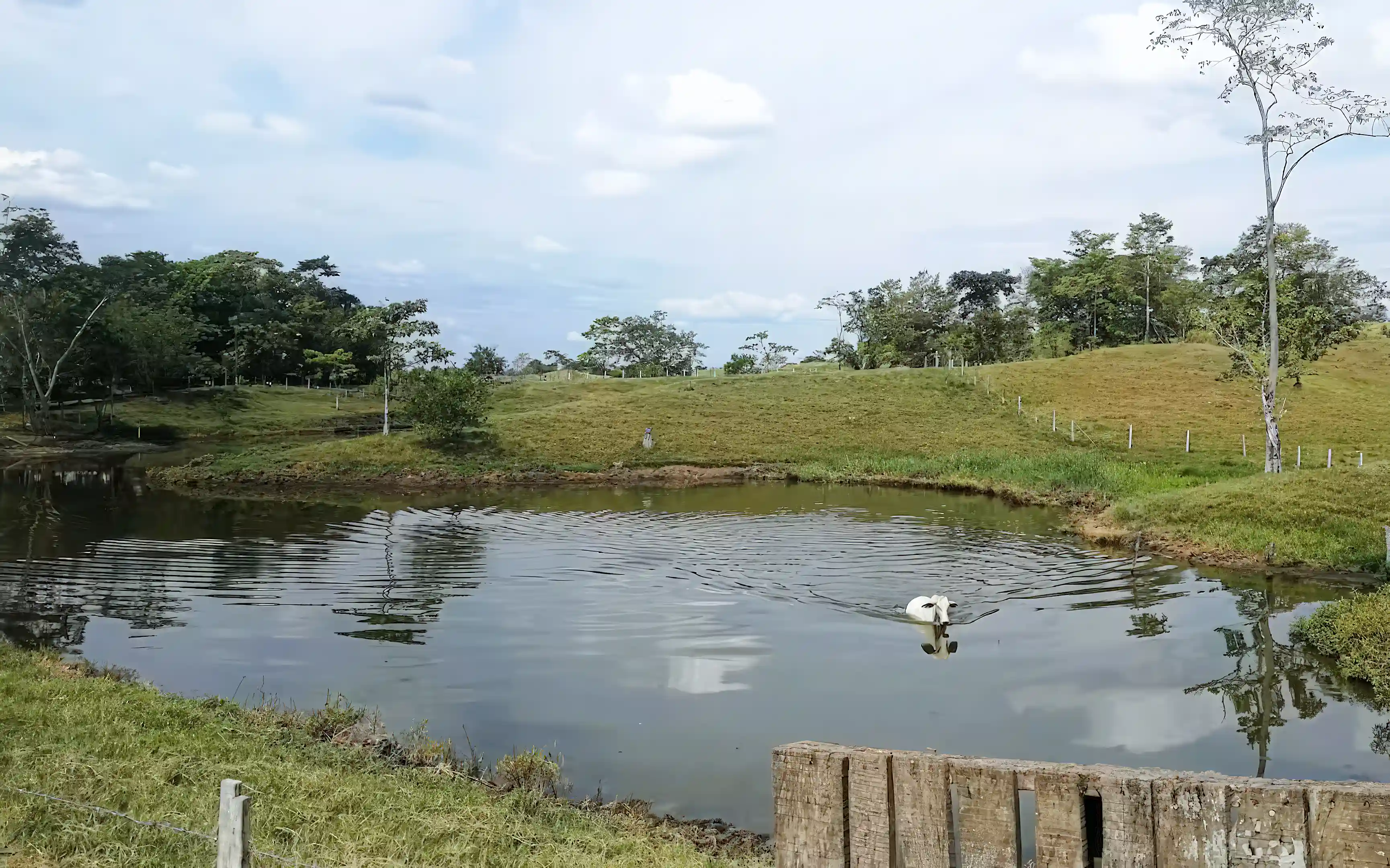 Lake