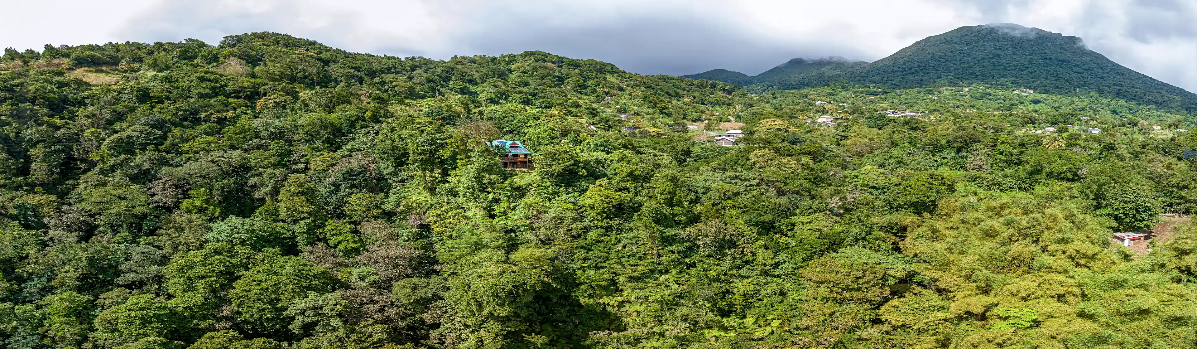Exterior: Hidden amongst the trees
