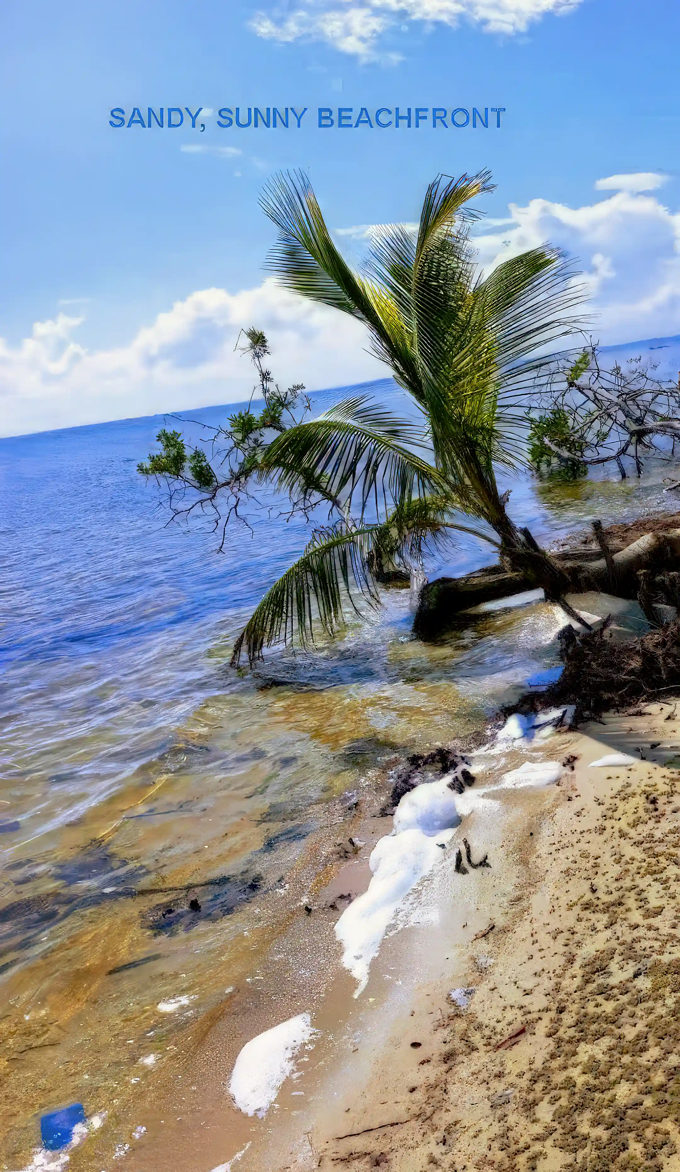 sandy beach is rare in Corozal
