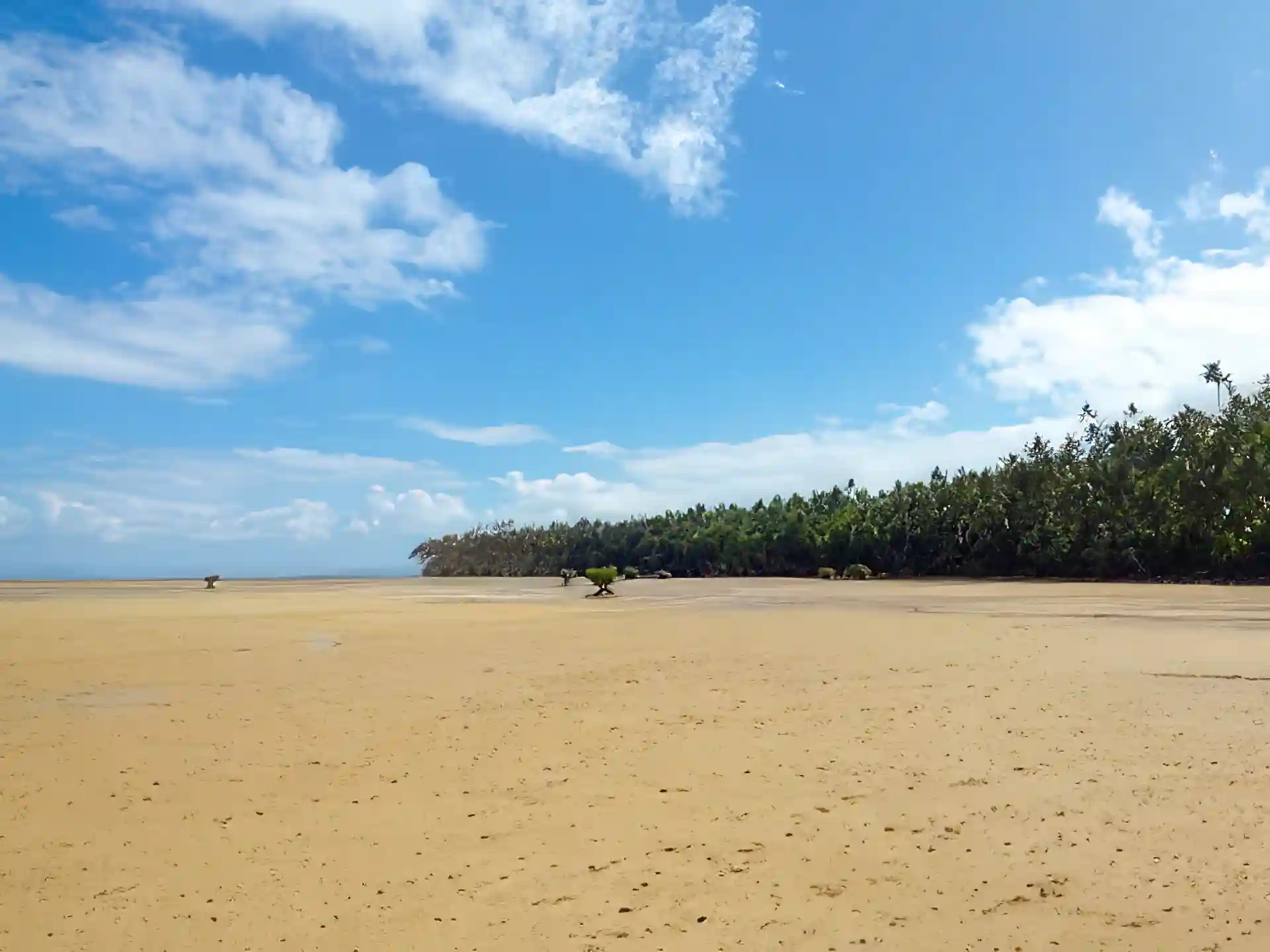 52 Acres for Sale in Nasavusavu, Cakaudrove, Northern Division, Fiji