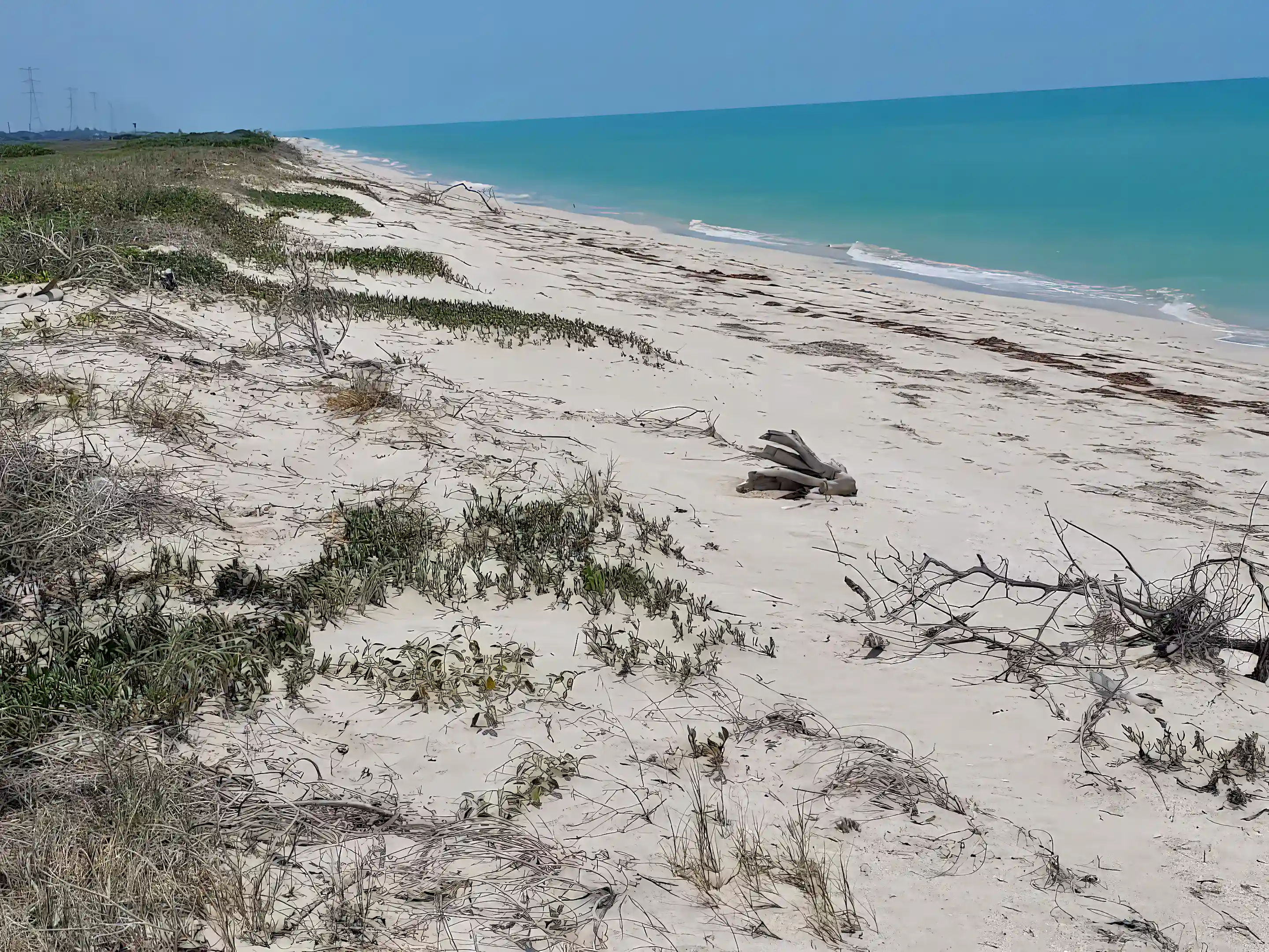 Oceanfront Property for Sale in Federal Highway 180, Sabancuy-Isla Aguada, Sabancuy, Carmen, Campeche, Mexico