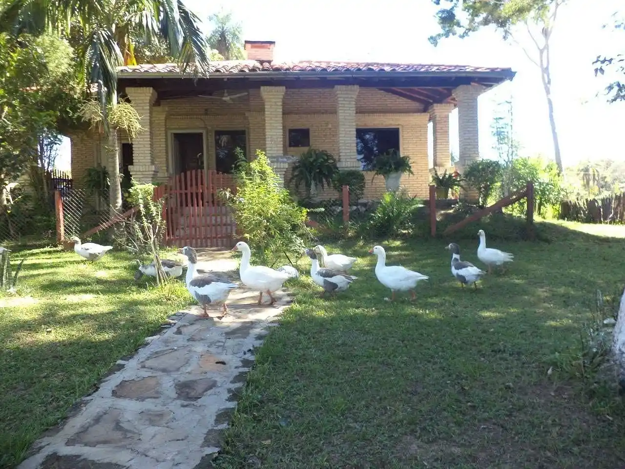 Farm for Sale in Arroyo Pora, Isla Pucu, Cordillera, Paraguay