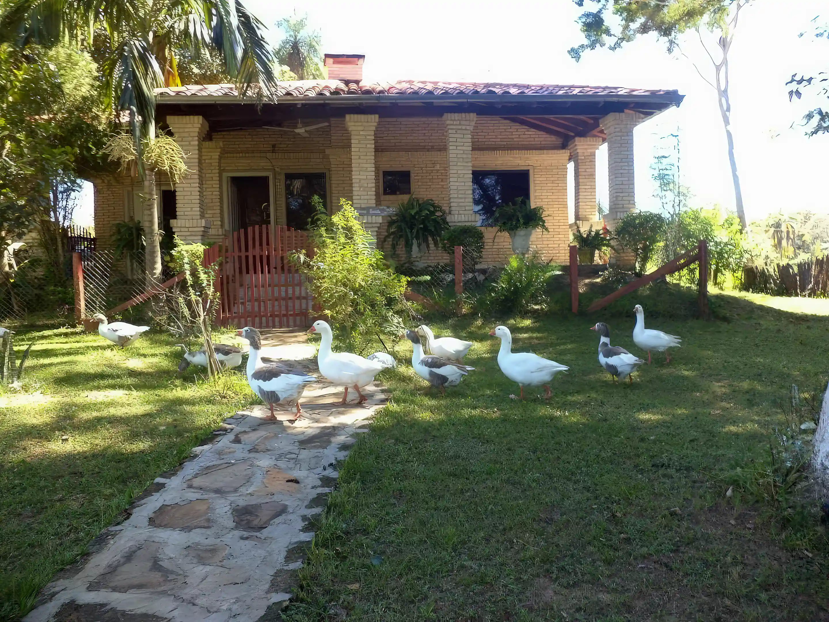 Main House with gease