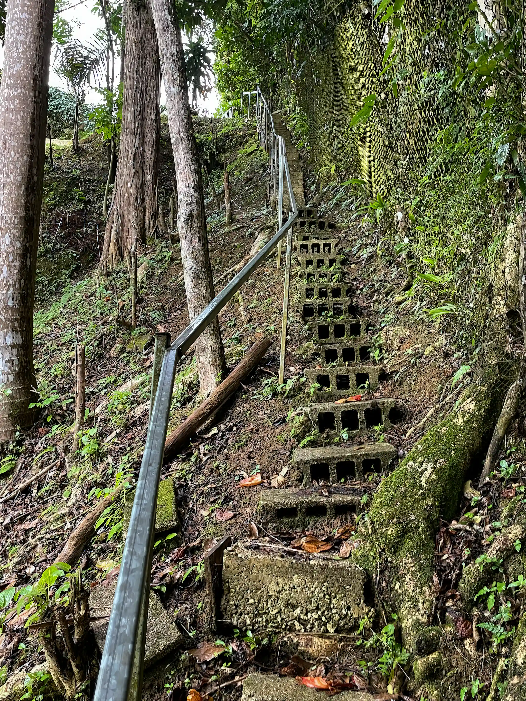 Stairs from the house to the lake