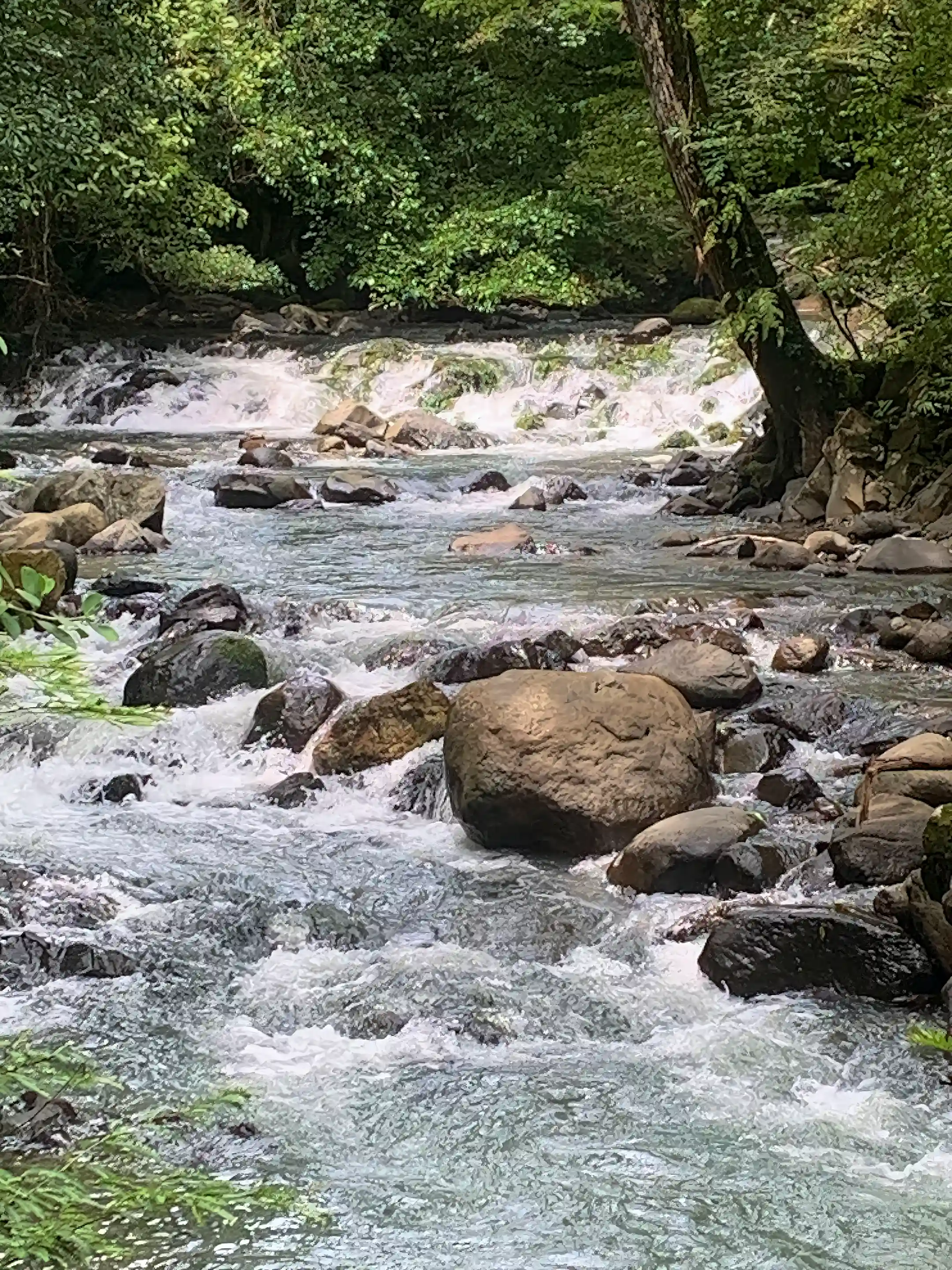 Natural river and waterfall area located just minutes from the...