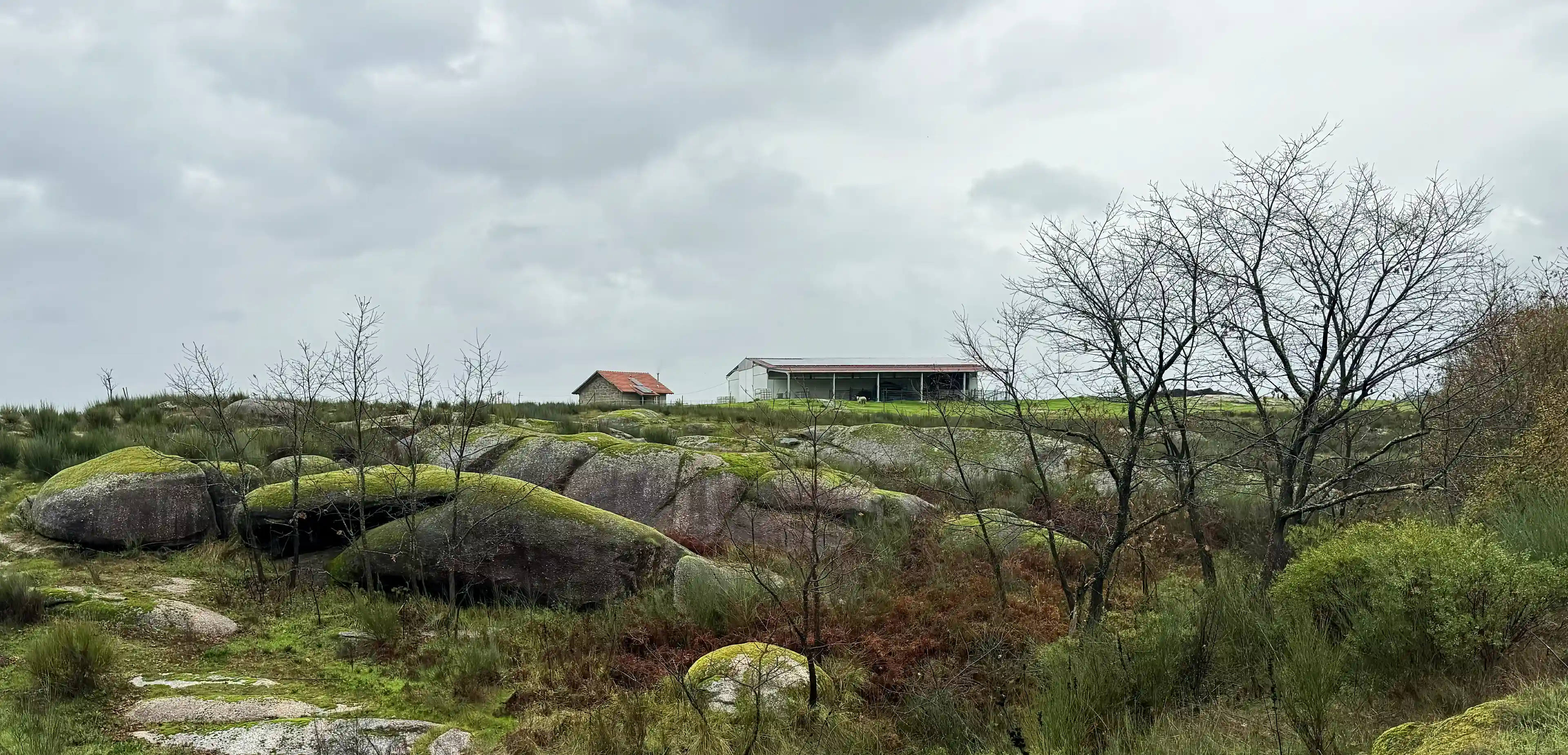 House and barn with stream below
