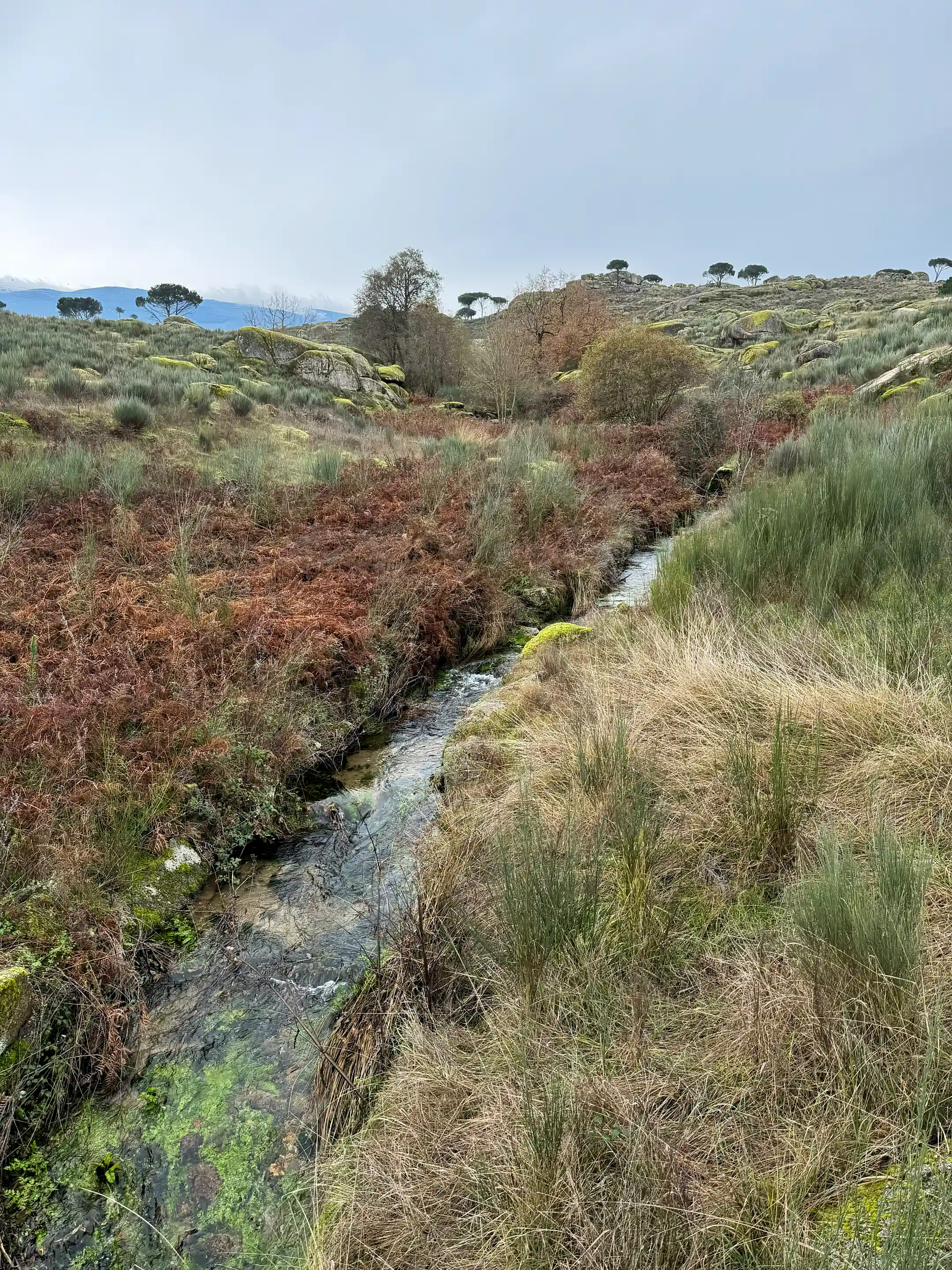 stream going through the land