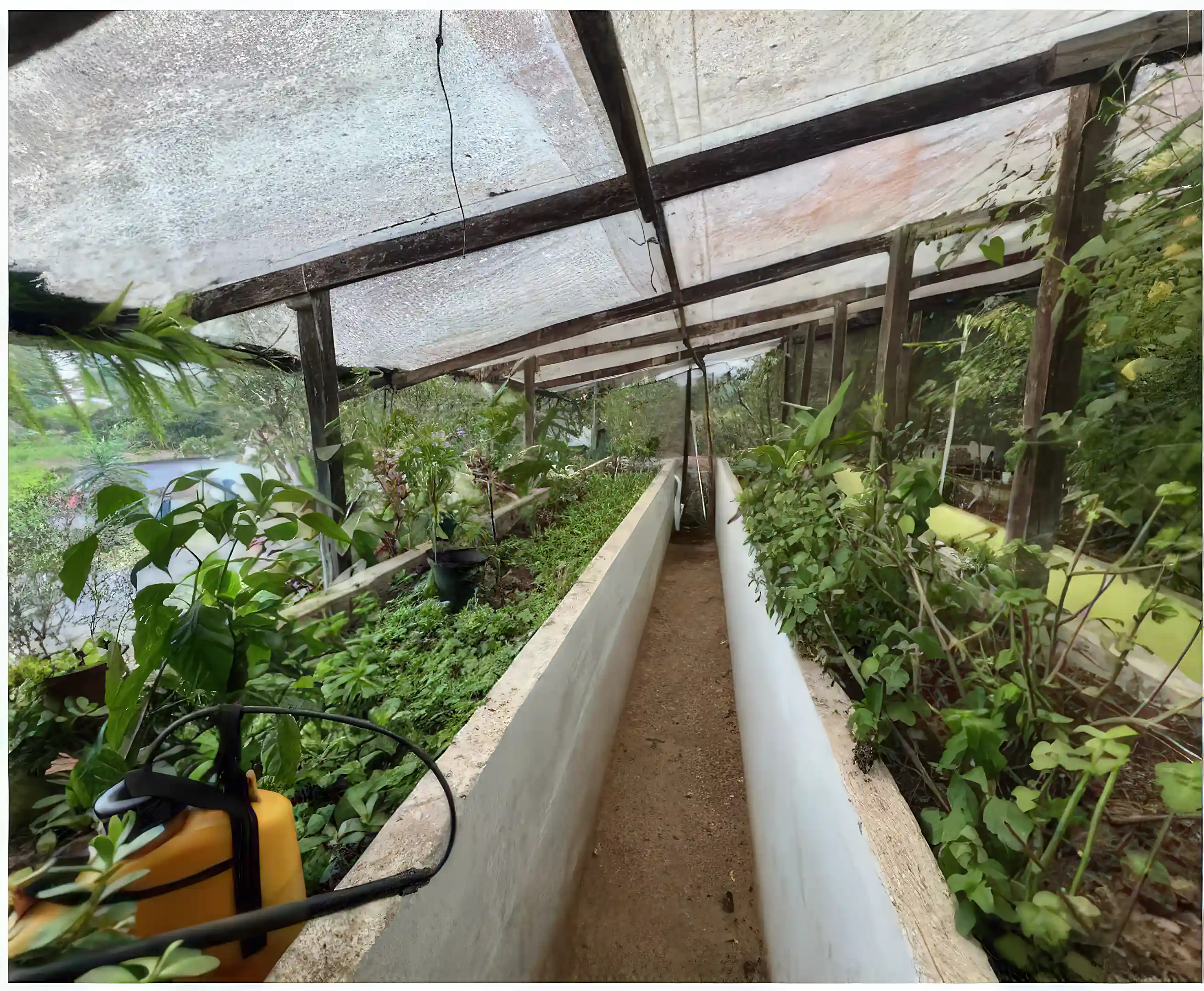 Raise Garden Beds above house in backyard