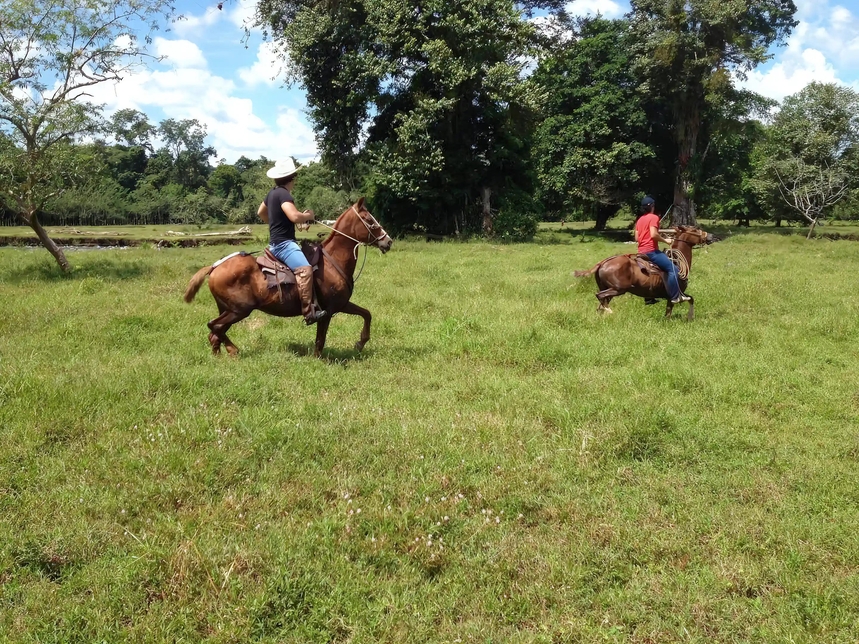 Horseback riding across the expansive green pastures of Hacienda Santa...