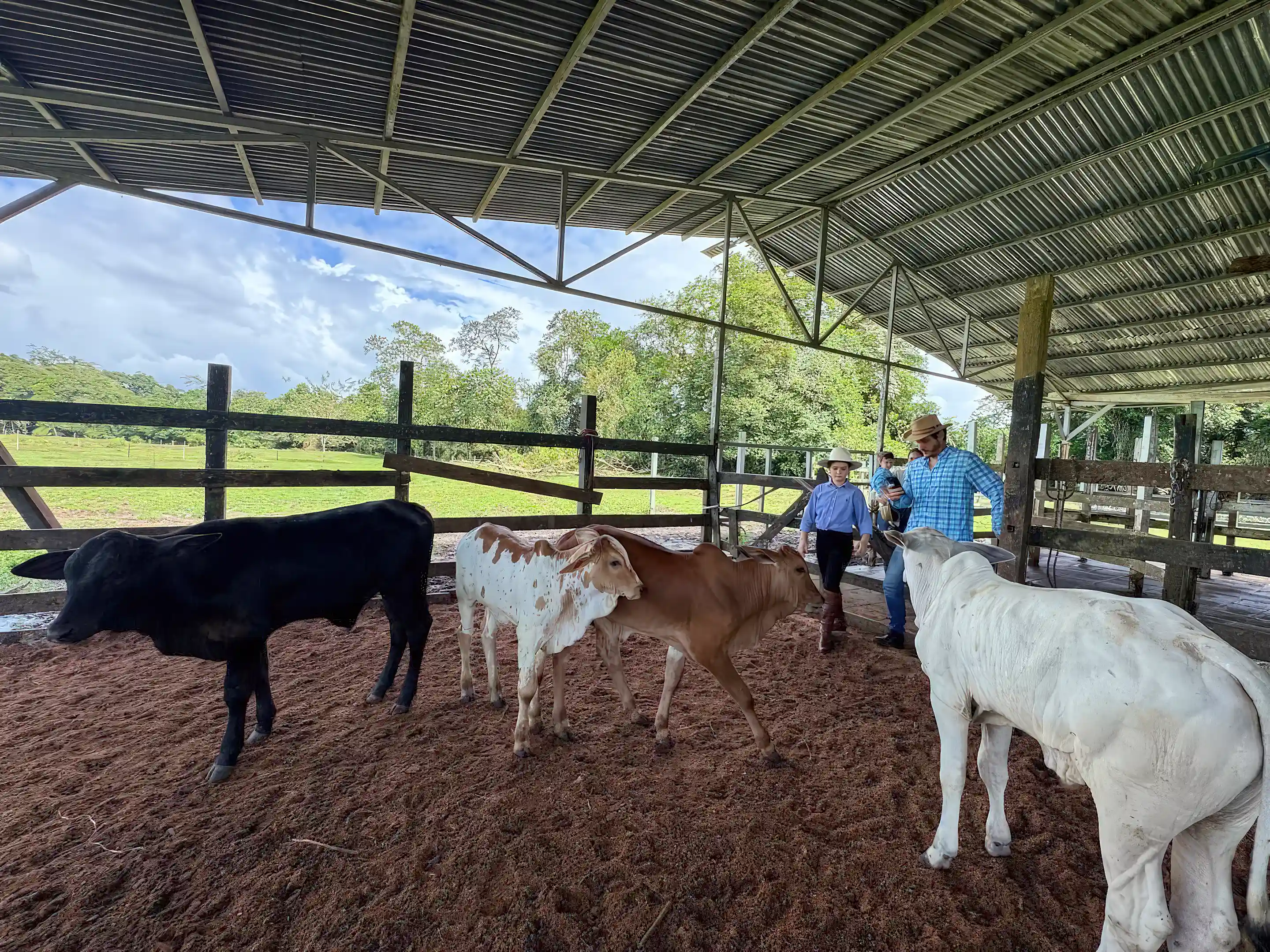 Existing cattle and cowboy facilities at Hacienda Santa María, offering...