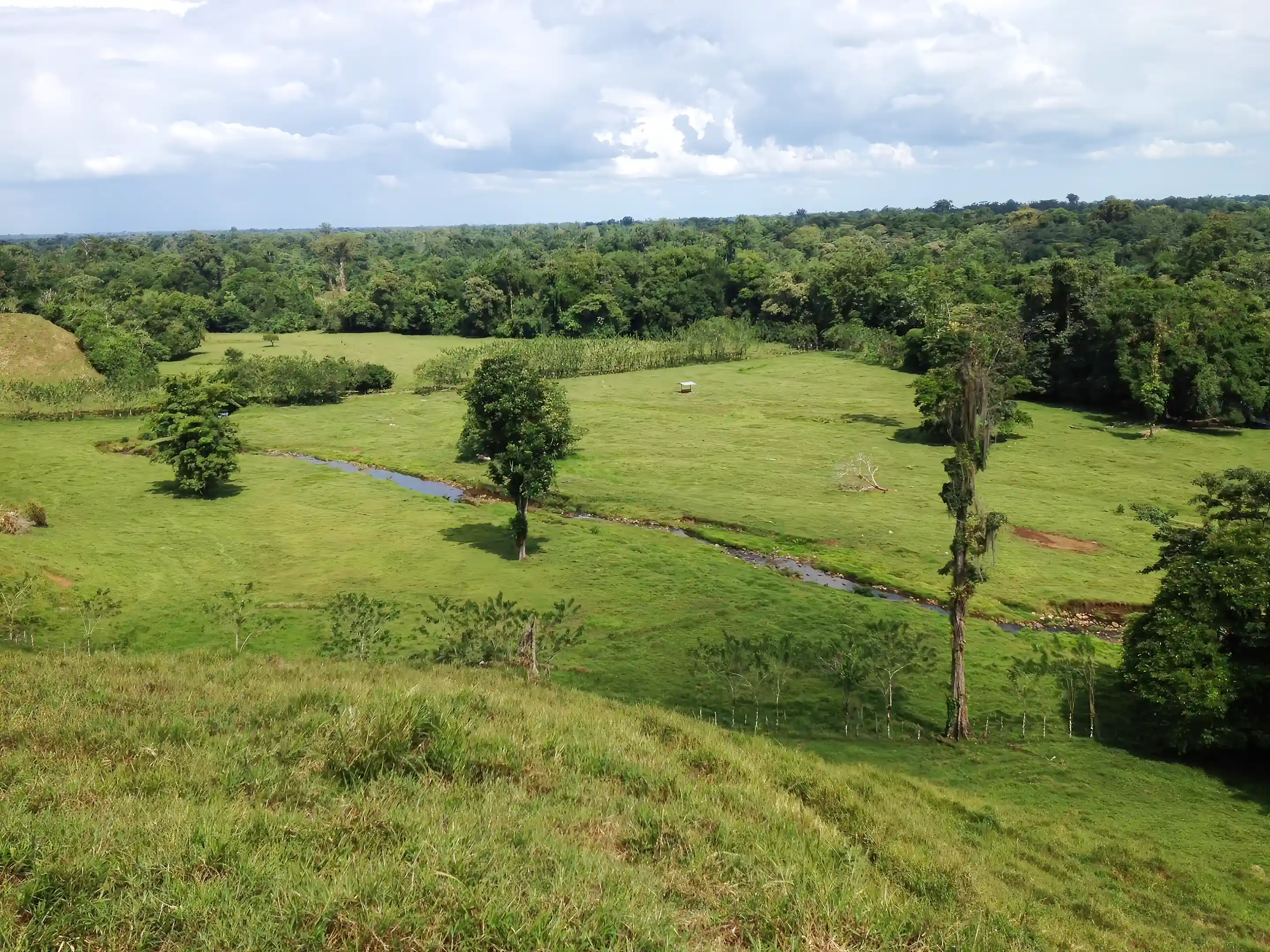 Investment Farm for Sale in Las Horquetas, Sarapiqui, Heredia, Costa Rica